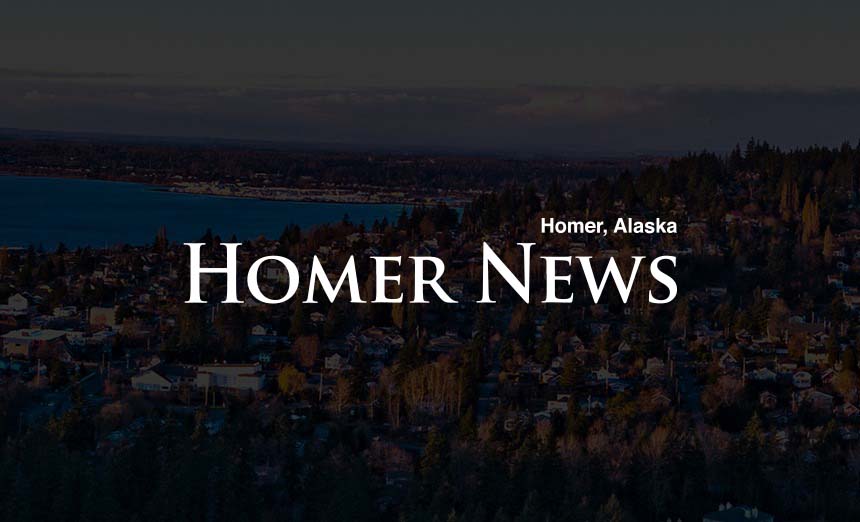 Point of View: Homer shows that housing solutions are a priority