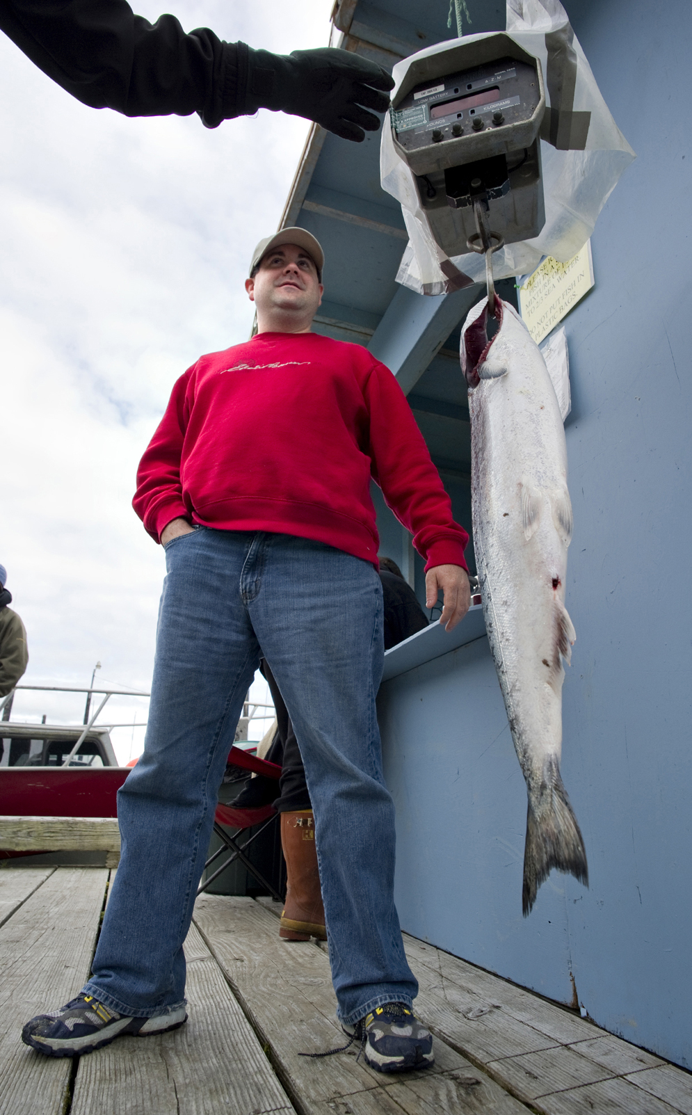 Joe Edwards of Houston, Texas, watches as his king salmon weights in at 16.2 pounds at the Douglas Harbor for the Golden North Salmon Derby in August of 2011. Scientists with the National Oceanic and Atmospheric Administration in Juneau said the 28-inch size limit for chinook salmon, while intended as a conservation measure, may be removing fast-growing fish from the population over time.