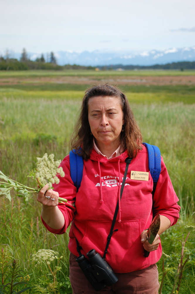 Carmen Field holds up a stalk of wild celery on an Estuary Walk tour in July 2011.-Homer News file photo