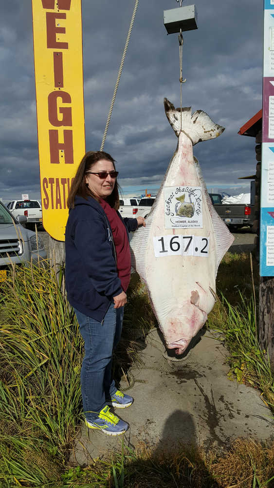 Gayle Muggli of Miles City, Mont. caught a 167.2-pound halibut on July 8 while fishing with Homer Ocean Charters.