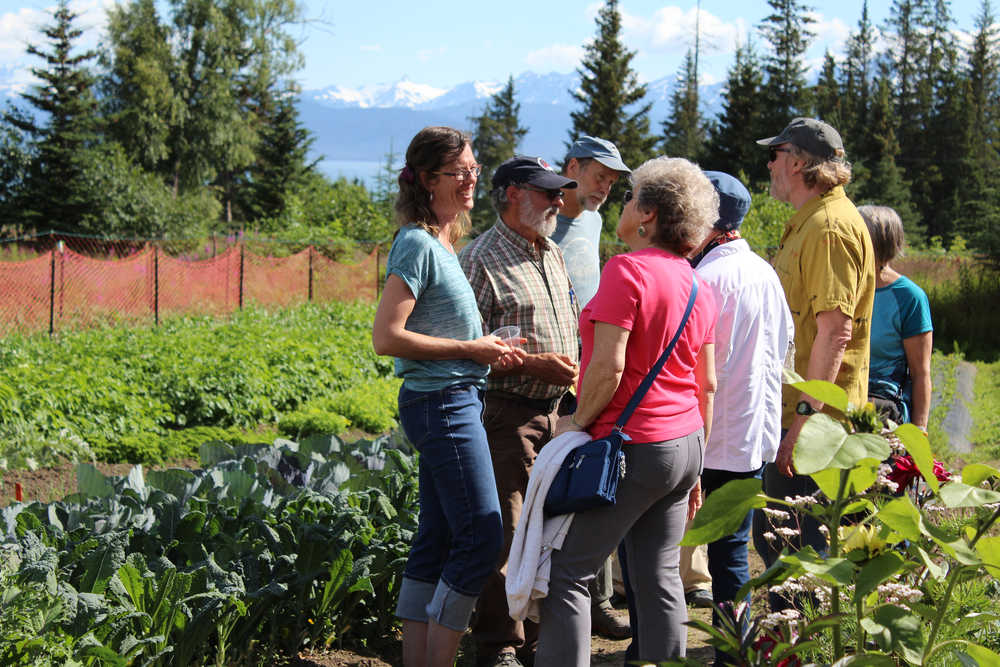 Wayne Jenkins gives a farm tour to a group of guests at Synergy Gardens' First Annual Great Garlic Scape Festival. In the open field, the Jenkins grow crops, such as a kale or peas, that can withstand Homer's cooler nights.