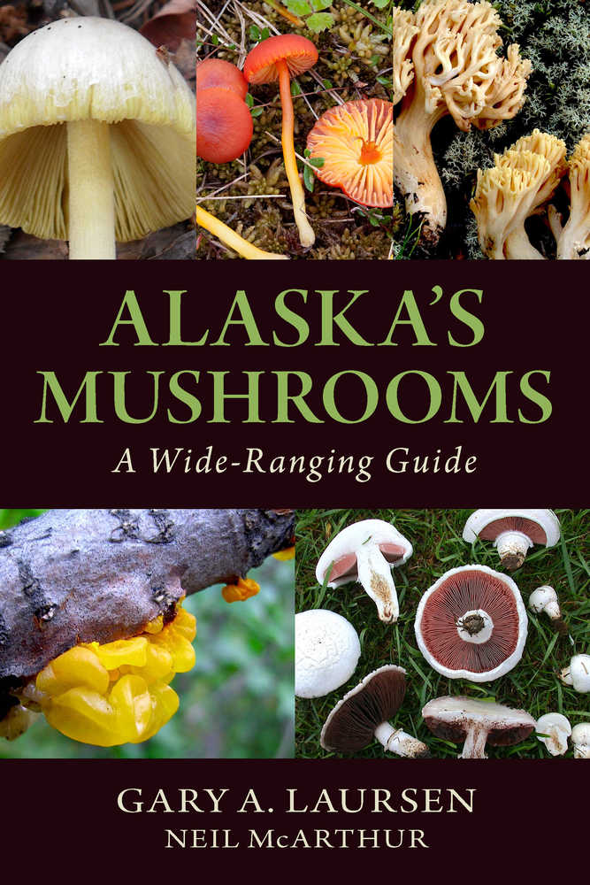 The updated version of late-Homer resident Harriette Parker's "Alaska's Mushrooms" was revised and added to by Gary A. Laursen, an expert on mushrooms and fungi in Fairbanks. Parker's husband Neil McArthur suggested Laursen to the publisher when asked who should revise the book. -photo provided by Graphic Arts Books