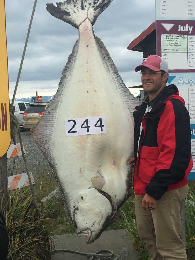 Greg Betts of Boise, Idaho, became the Homer Jackpot Halibut Derby's new derby leader on July 30 with his 244-pound catch.