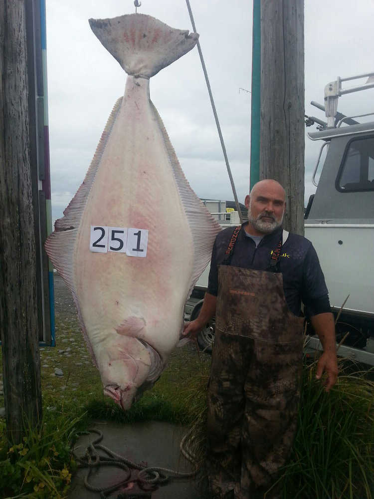 Daniel Spies shows off his 251-pound derby leading halibut on Aug. 11.