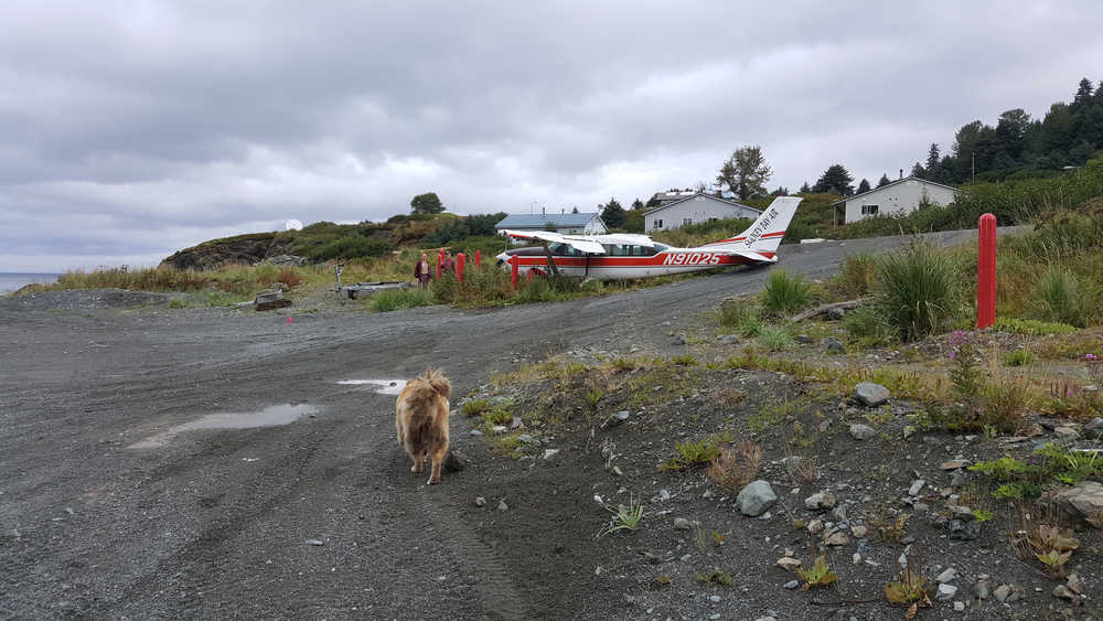A Smokey Bay Air Cessna 207 lies next to bollards protecting a service hatch near the Nanwalek Airport. The plane crashed on Tuesday morning. No passengers were on board and the pilot escaped injury.