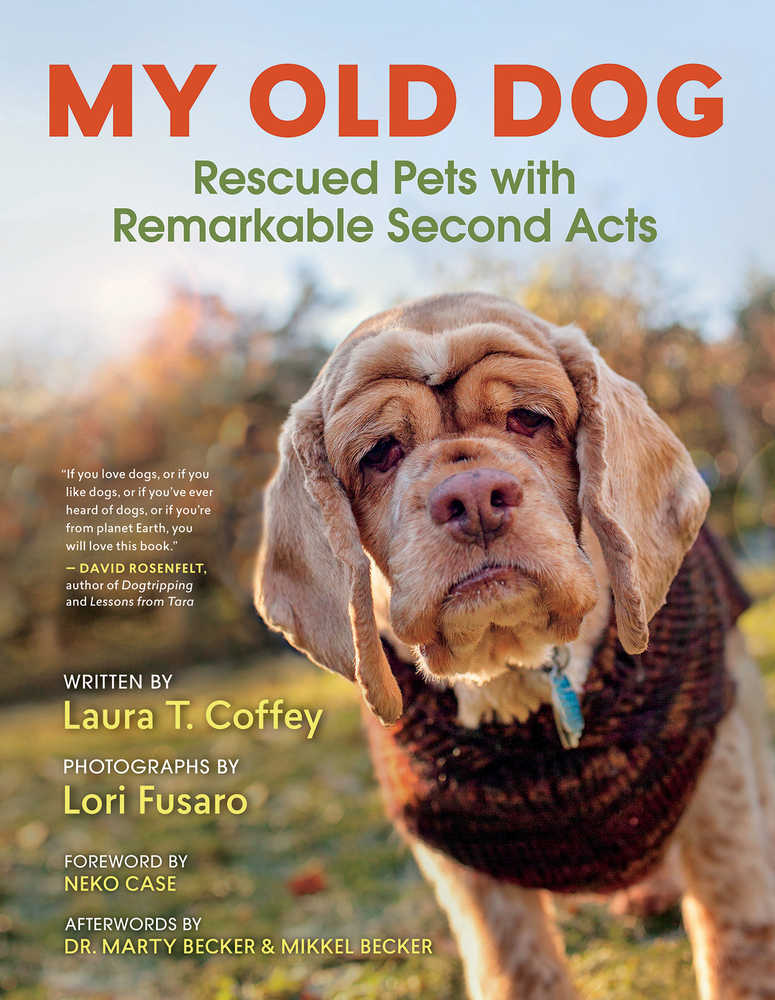 'My Old Dog': Read it and be inspired
