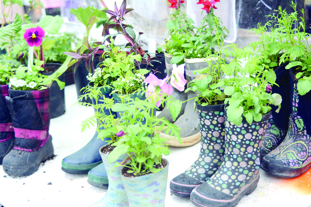 Rubber boots planted with flowers were among the many Market displays. -Photo by Michael Armstrong