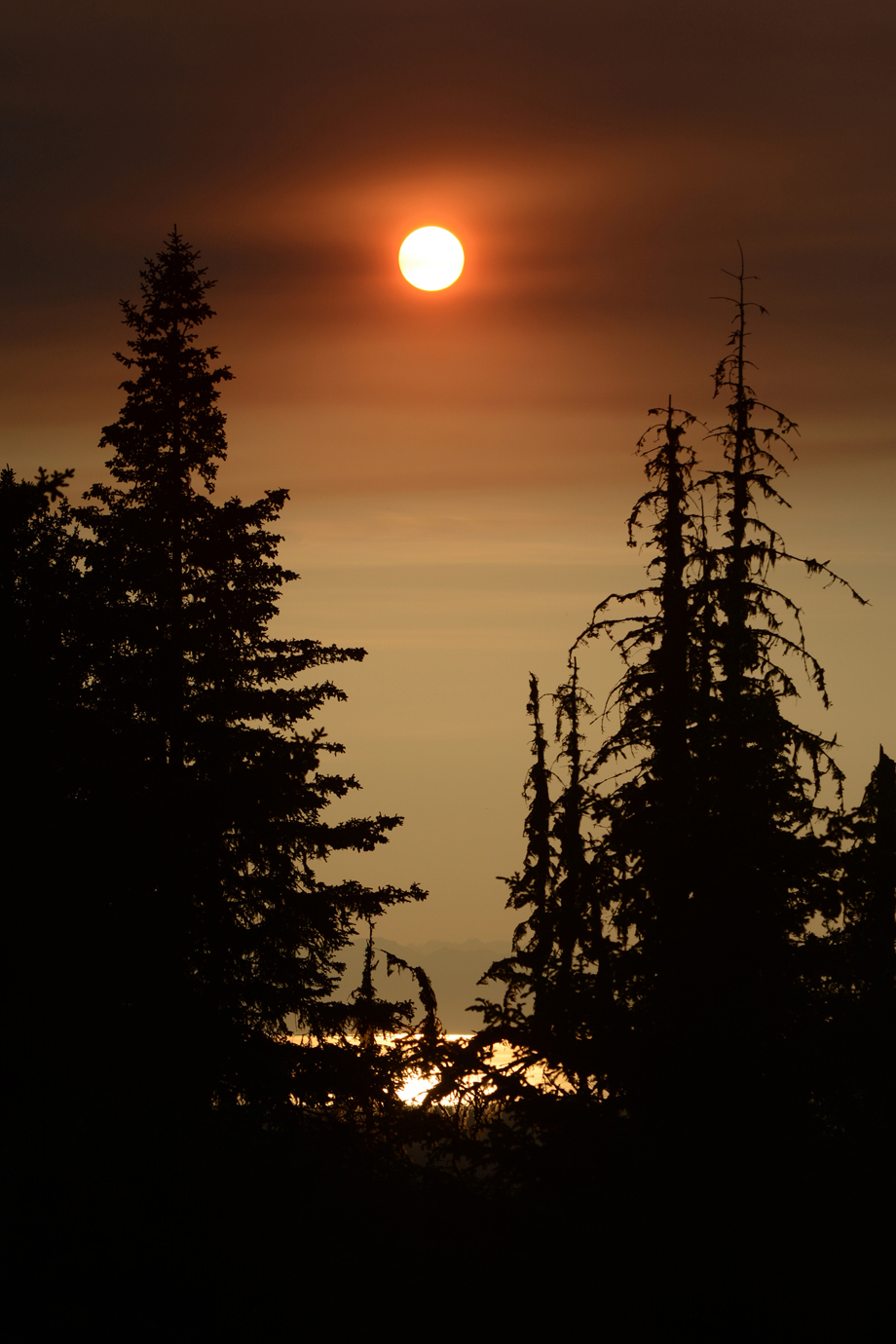 Haze from the Sockeye Fire near Willow obscures the sun as it sets over Cook Inlet on Monday night as seen from Diamond Ridge. By Wednesday morning, the Sockeye Fire had burned 7,500 acres. On the central Kenai Peninsula, firefighters are working to contain the 2,000-acre Card Street fire.-Photo by Michael Armstrong, Homer News