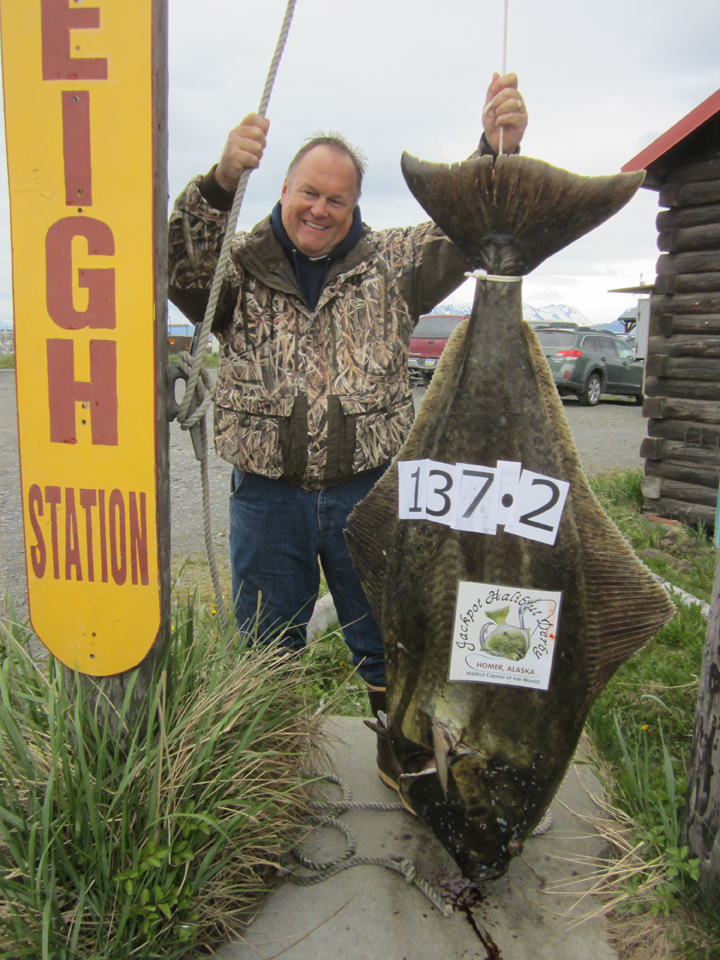 As of earlier this week, Michael Simonsen remained the leader in Homer’s Jackpot Halibut Derby with the 137.2-pound halibut he hauled in May 23. Simonsen was fishing aboard the Obsession with Capt. Richard Baltzer of North Country Charters. The winner of the June 15 released fish drawing is Trevyn Day, who won $500 for releasing a halibut longer than 48 inches.-Photo provided