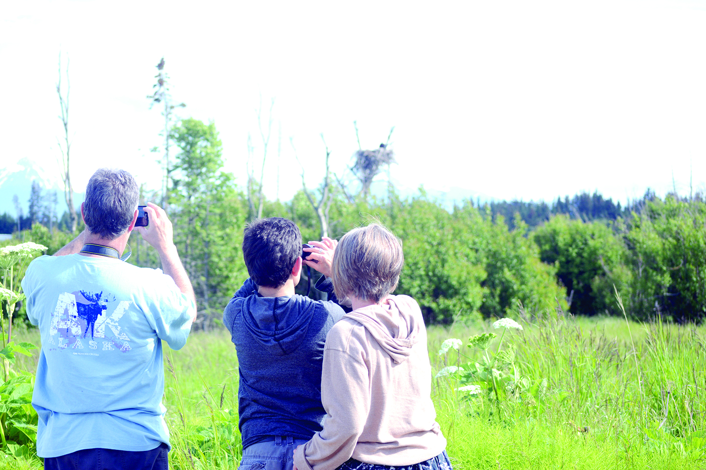 Visitors to Homer look at an eagle nest near Lake Street and by Beluga Slough.-Photo by Michael Armstrong, Homer News