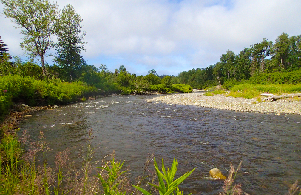 A stretch of the Anchor River now protected by the land trust.