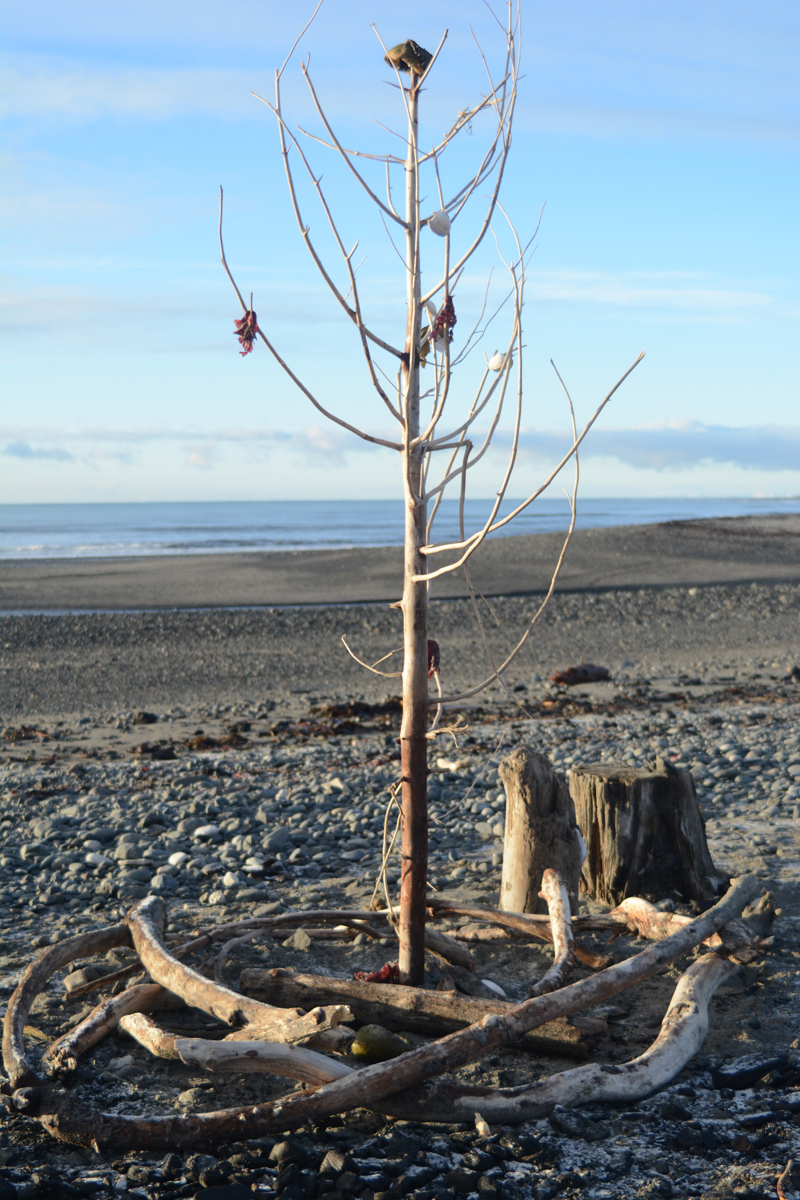 Seashells and kelp decorate a driftwood tree at Mariner Park on the Homer Spit. An unknown artist made the sculpture, and beach walkers have been embellishing the tree since it was first put up earlier this month.-photo by Michael Armstrong, Homer News