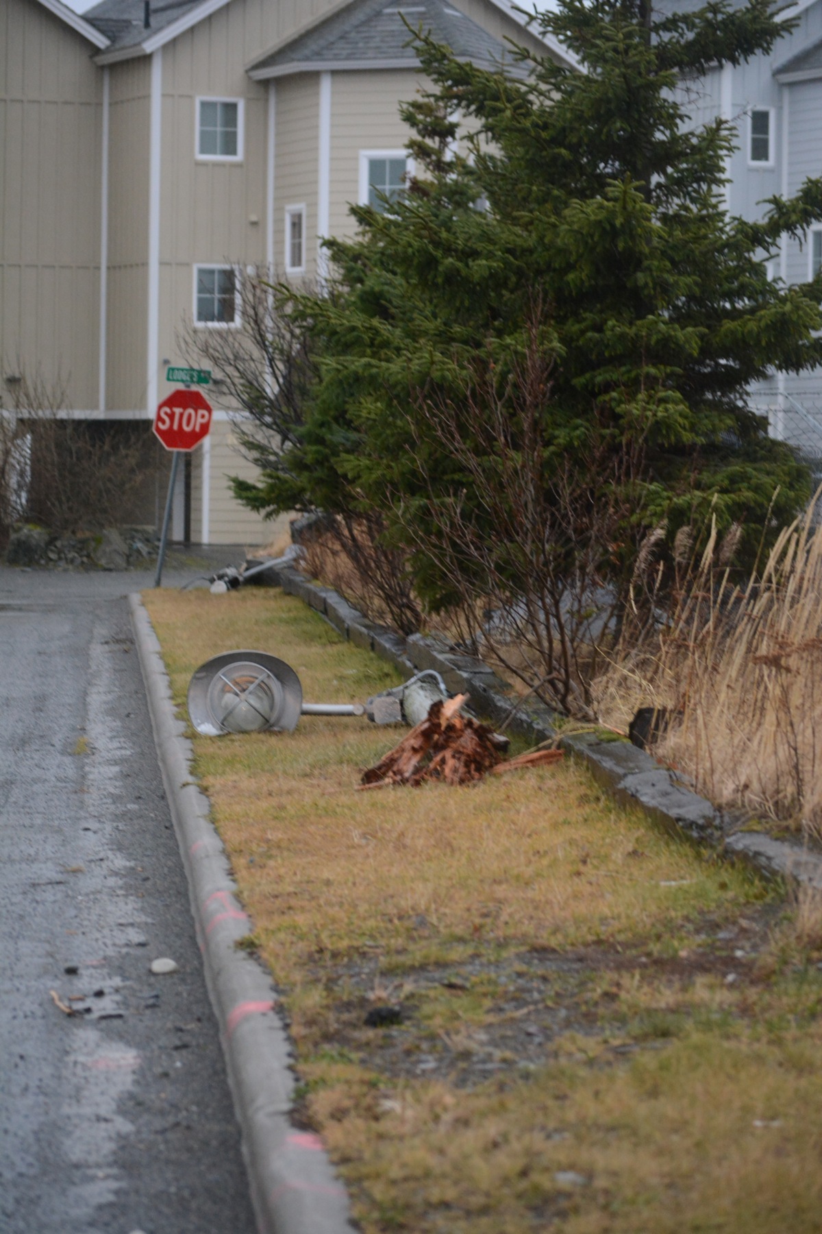 High winds last week knocked down lamp posts on the drive to the Land's End Lodgings condominiums on the Homer Spit.-Photo by Michael Armstrong, Homer News