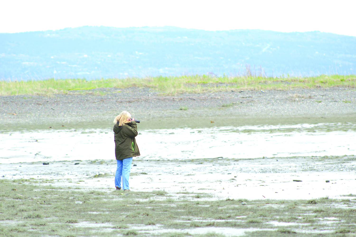 Eleanor Sarren, a Homer birder, takes photos of the sandpipers playing in the mud during low tide on Monday.  This weekend bird lovers from all over will be in Homer to enjoy.-Photo by Anna Frost, Homer News