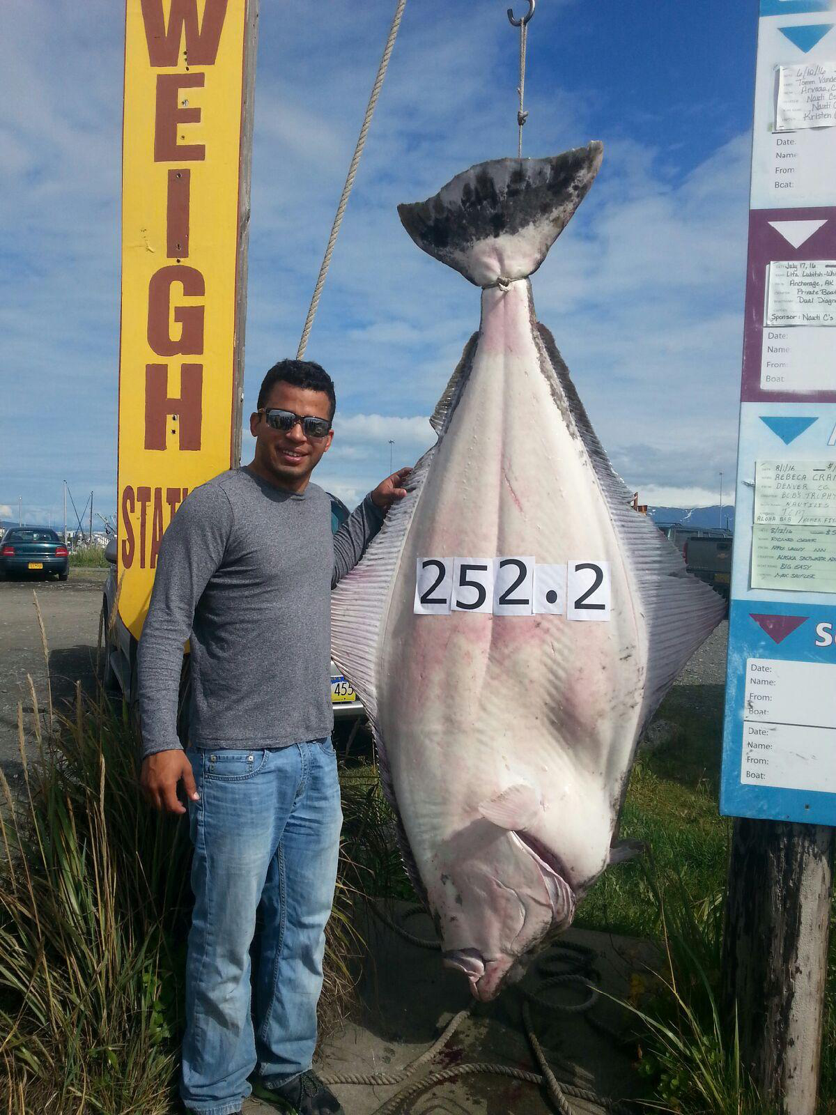Austin Nelson of North Pole caught his 252.2-pound halibut on Aug. 16, beat out the prior derby leader by a mere 1.2 pounds. He now will make upwards of $15,000 on his lucky catch.