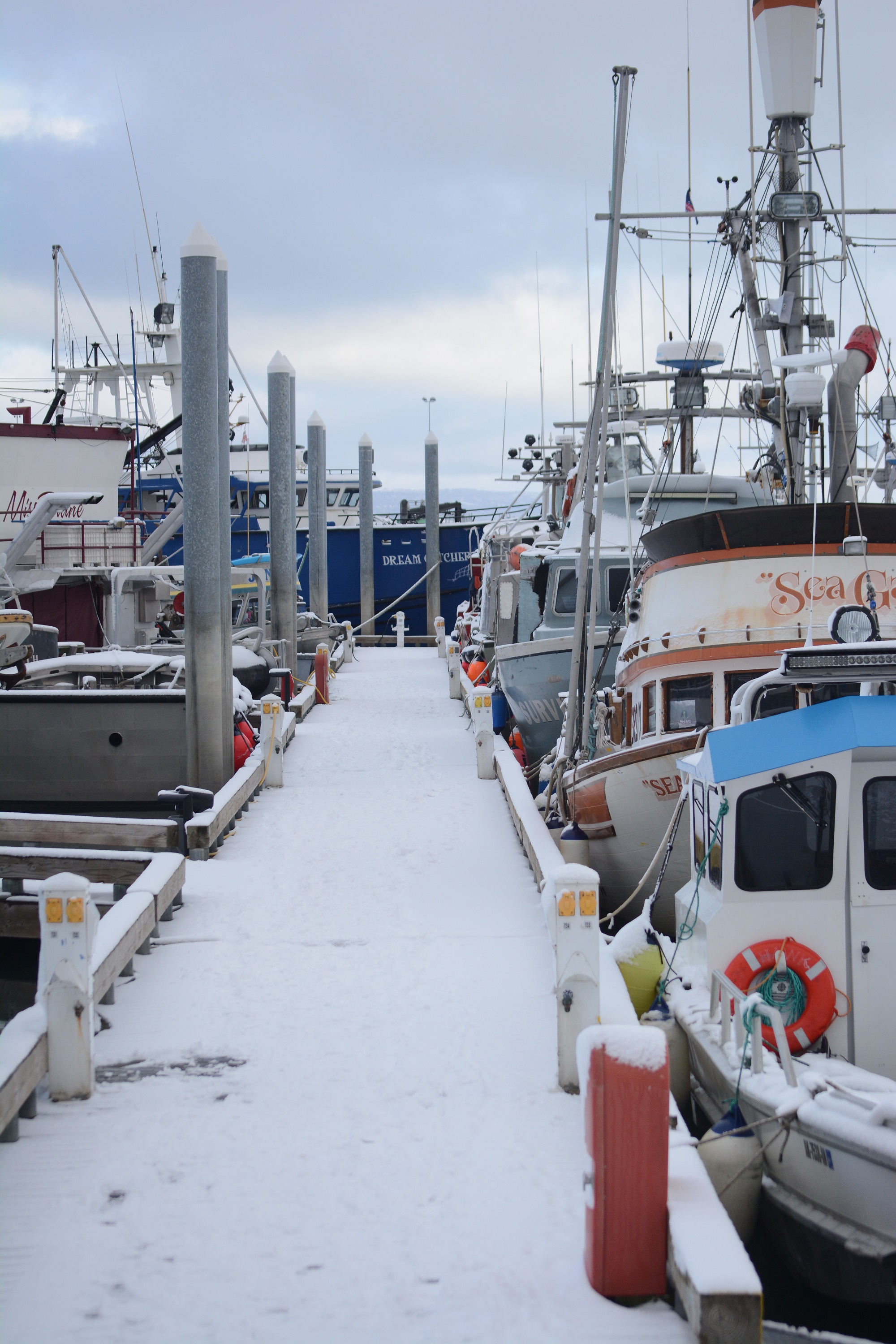Fresh snow covers boats and ramps at the Homer Harbor on Monday. The first snowfall of the season hit Homer on Oct. 17, causing numerous accidents on the lower Kenai Peninsula.-Photo by Michael Armstrong, Homer News
