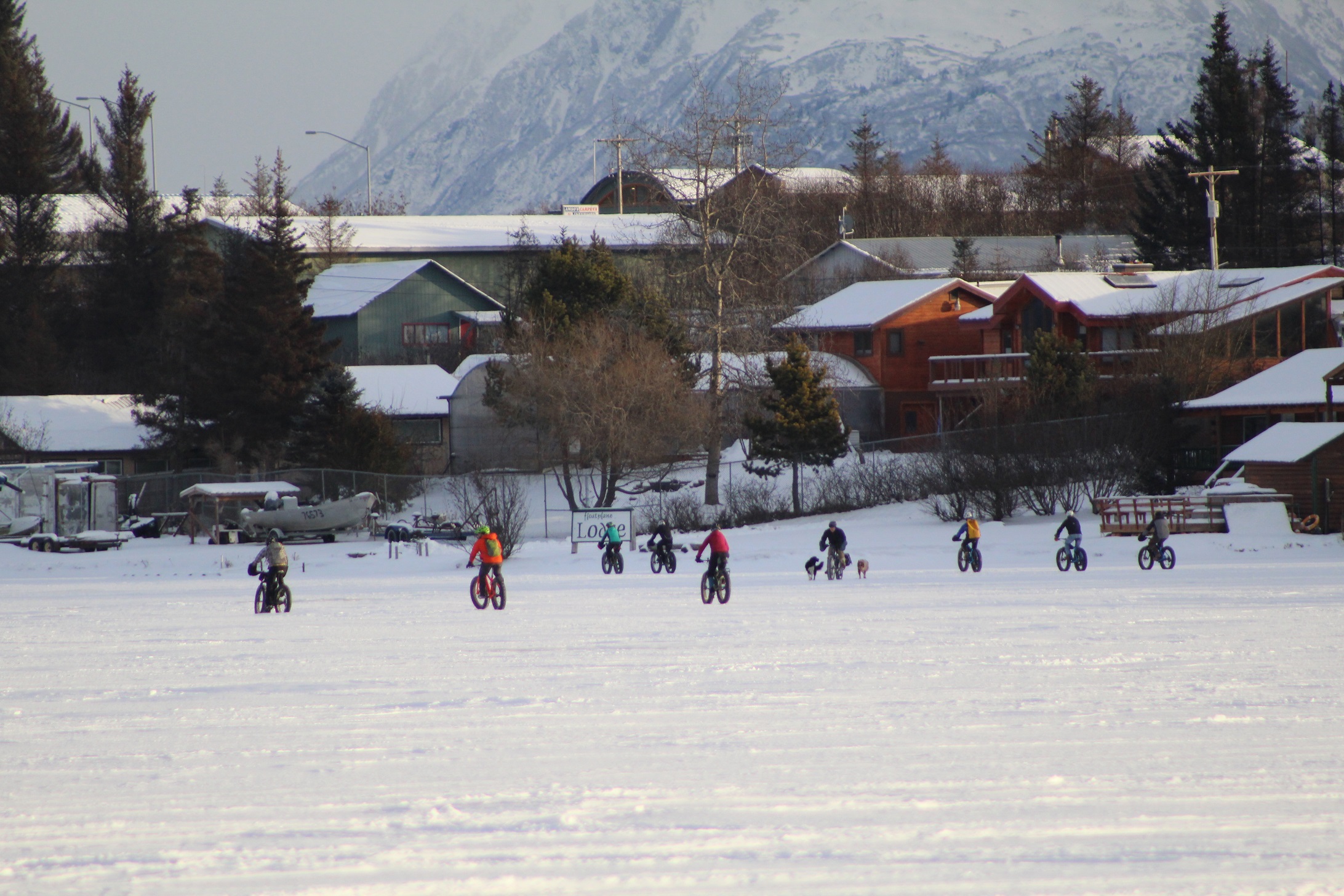 A group of fat-tire bicyclists ride across Beluga Lake last Saturday. The bikes with big, wide tires make riding on snow and sand easy, and have become popular in Homer and Alaska over the past few years.-Photo by Anna Frost, Homer News