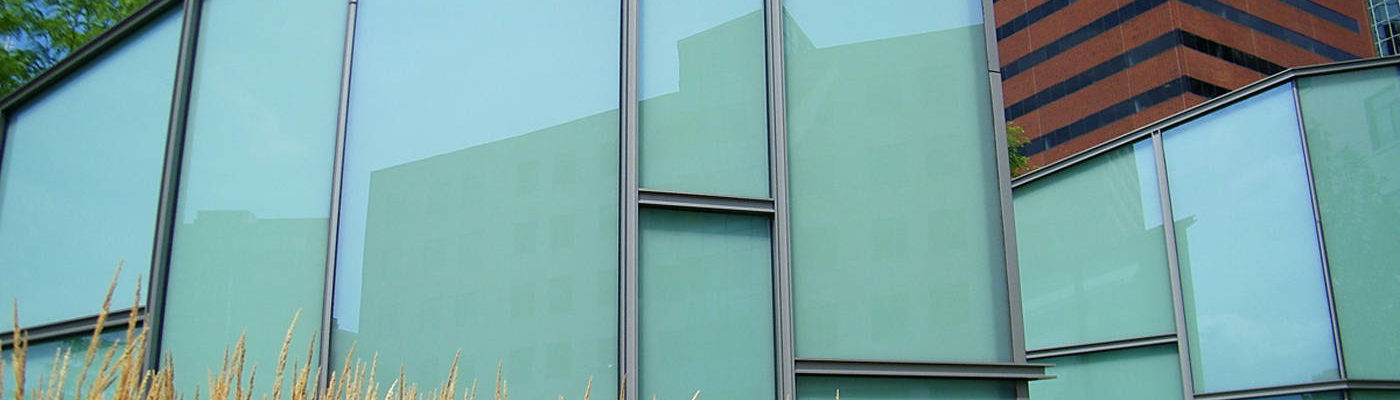 Birds return for shorebird month First Friday