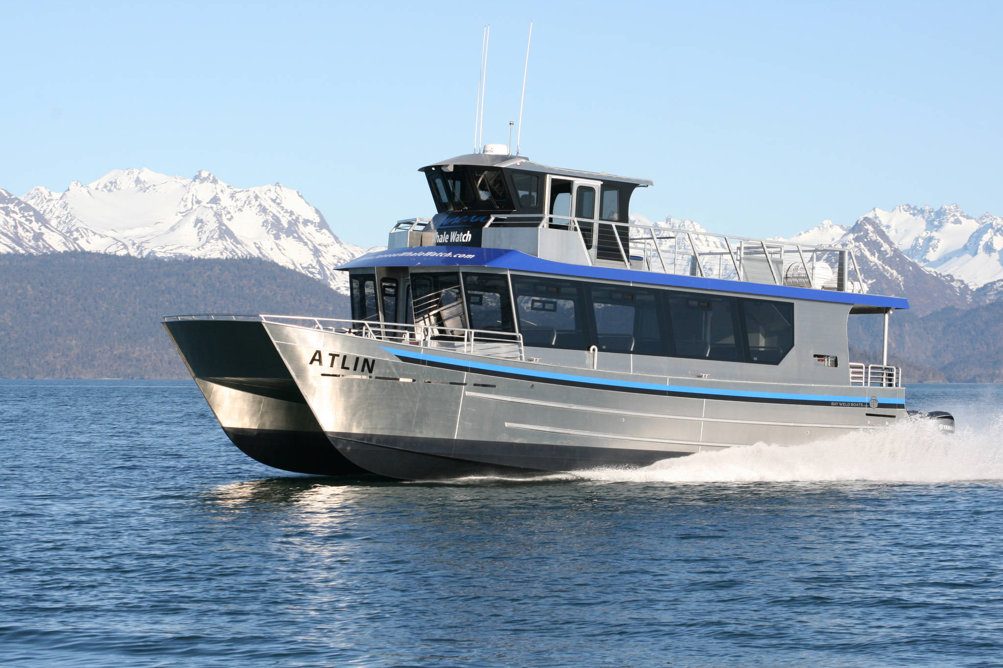 Bay Weld launches new whale watching boat