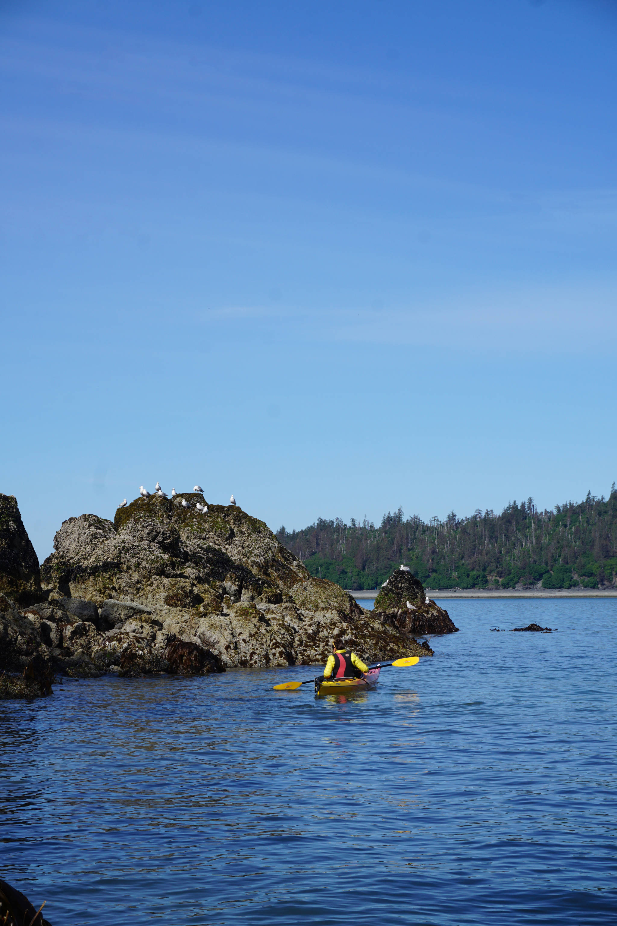 Photo by Michael Armstrong/Homer News Brittany Nathat kayaks by rocks at low tide near Otter Cove Resort in Kachemak Bay on Sunday, June 25. Nathat is a kayak guide at the resort.