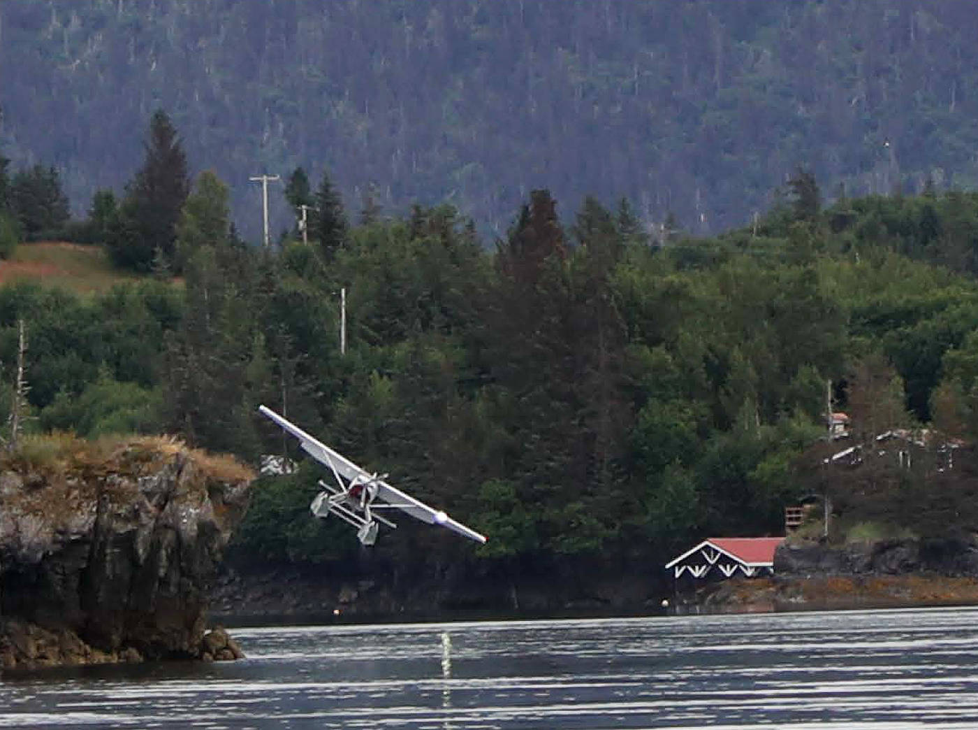 This photo from a National Transportation Safety Board report shows Alaska Dispatch News owner Alice Rogoff’s Cessna 206 colliding with a tree, causing a float to break off, during a crash on July 3, 2016 in Halibut Cove, Alaska. The NTSB noted Rogoff’s attempted landing took place over glassy water conditions. (Photo courtesy NTSB)