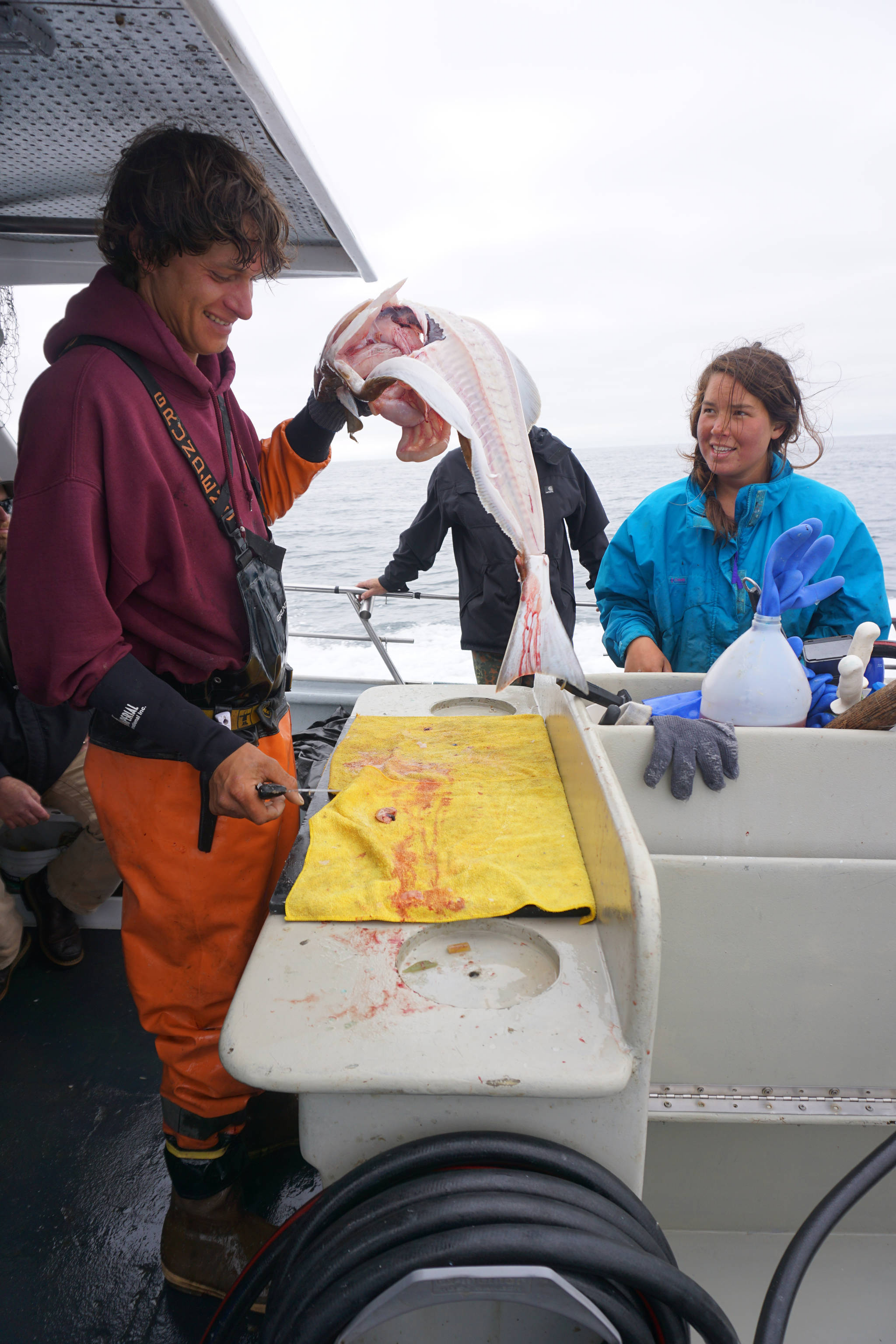 Casey McKinnon fillets a halibut as the Irish returns to Homer, Alaska from a halibut fishing trip in Cook Inlet near Mount Iliamna on July 16, 2017. Fellow deckhand Chelsea Schmidt watches. According to federal regulations, halibut can be fileted on board into four bottom and top pieces as long as the skin is retained and the carcass for a size-restricted fish is kept. Photo by Michael Armstrong/Homer News