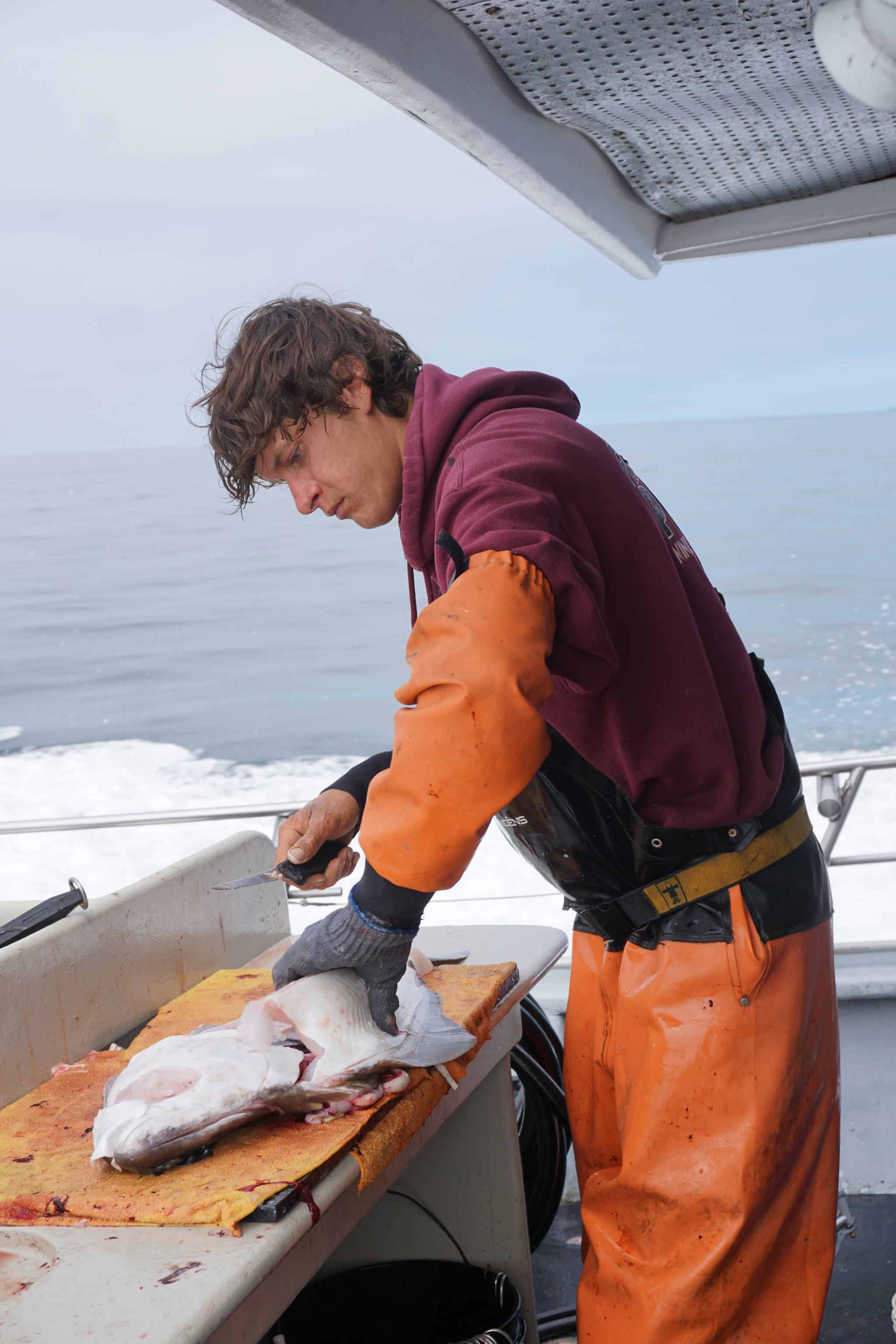 Casey McKinnon fillets a halibut as the Irish returns to Homer, Alaska from a halibut fishing trip in Cook Inlet near Mount Iliamna July 16, 2017. According to federal regulations, halibut can be filleted on board into four bottom and top pieces as long as the skin is retained and the carcass for a size-restricted fish is kept. Photo by Michael Armstrong/Homer News