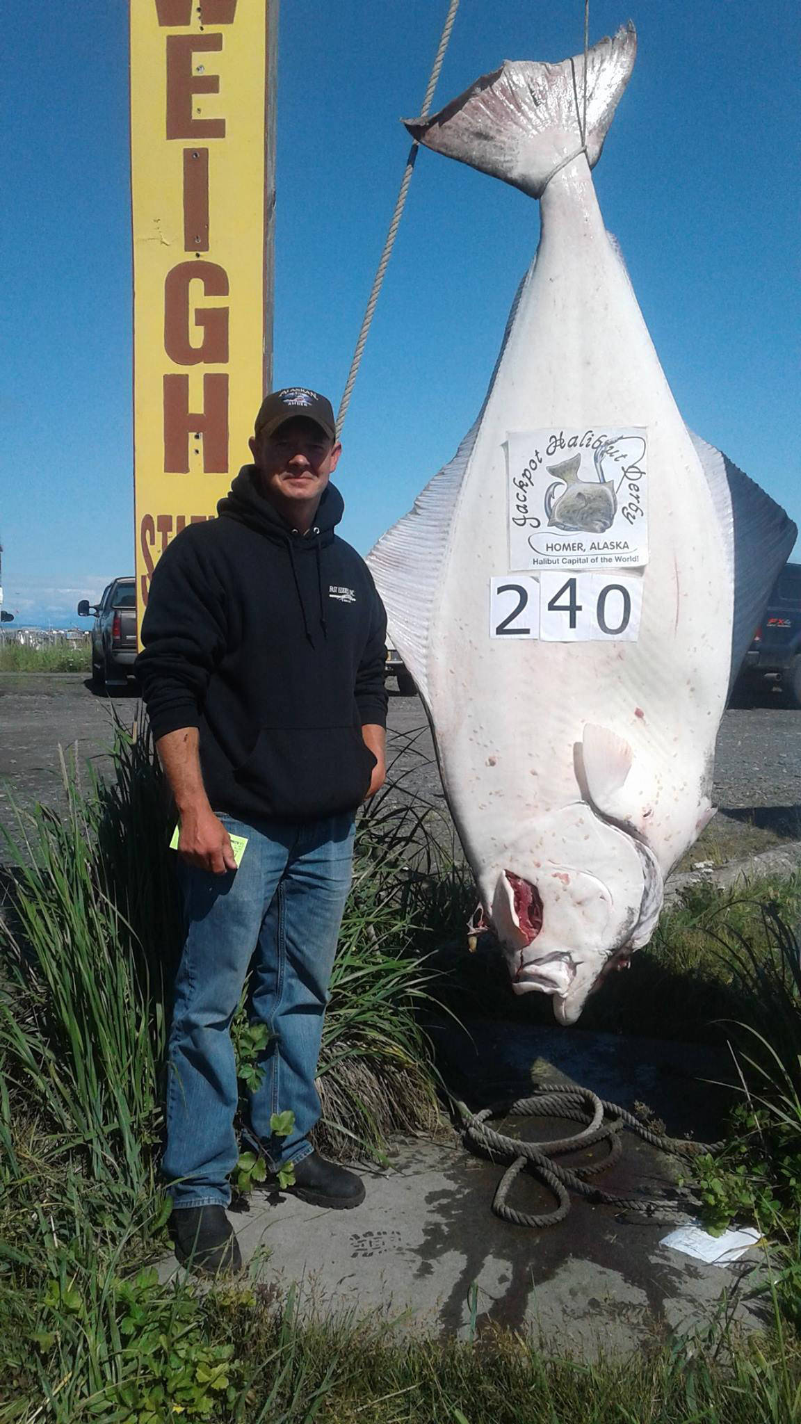 Idaho man takes lead in halibut derby with 240-pound barn door