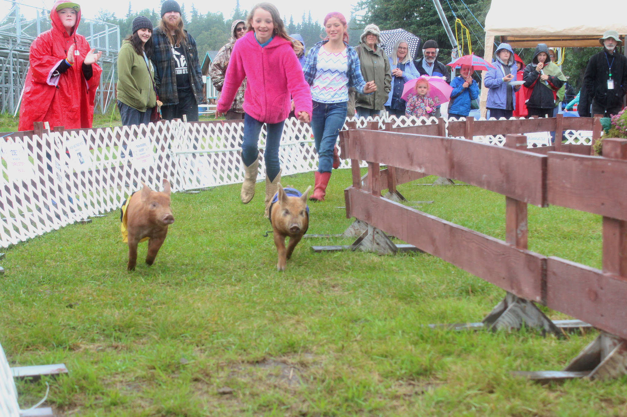 Trinity White, 10, and Alexa Richards, 12, chase pigs down the track during the pig races at the Kenai Peninsula Fair on Friday, Aug. 18, 2017 in Ninilchik, Alaska. Race organizers need volunteer chasers to keep the pigs going in the right direction. (Photo by Megan Pacer/Homer News)