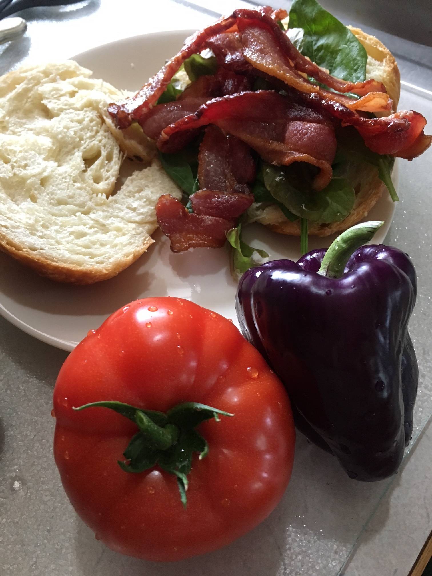 Tips on tomatoes and slugs