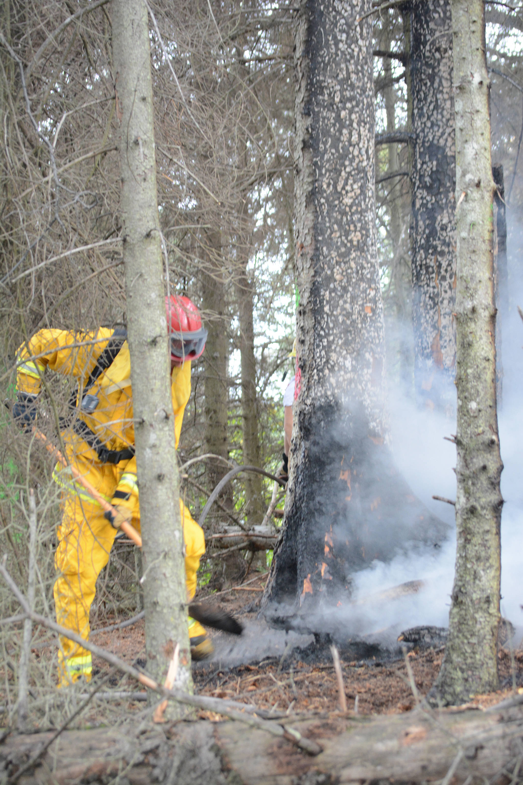 Firefighters knock down small wildfire