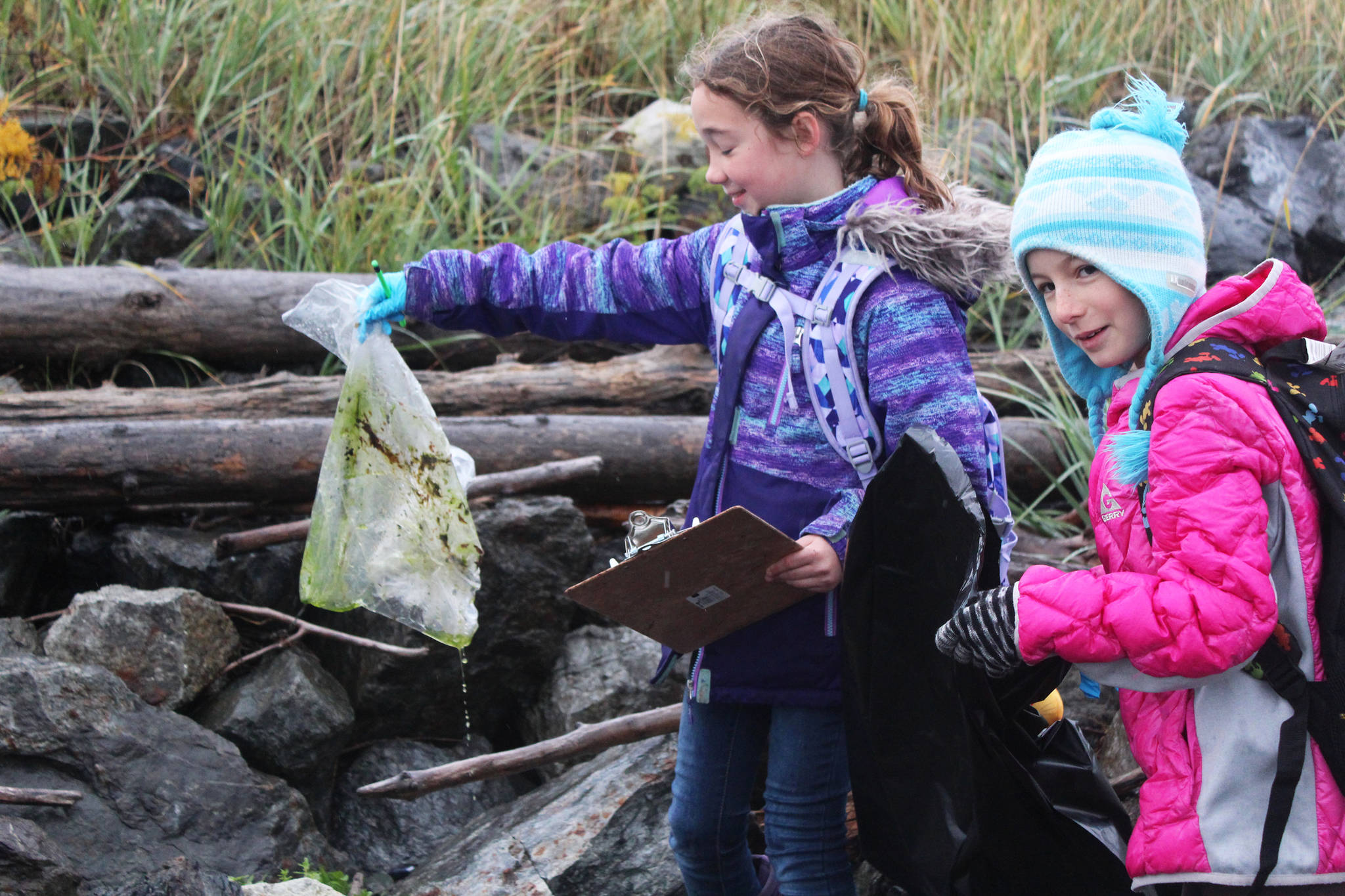 Hannah Baum (left) and Ellen Barrett (right) balk at a particularly gross piece of garbage they found Friday, Sept. 22, 2017 on a stretch of Kachemak Bay shoreline near Mariner Park in Homer, Alaska. They and their classmates from McNeil Canyon Elementary School participated in this year’s Kachemak Bay CoastWalk, in which groups can sign up to adopt a section of coast to clean of debris. (Photo by Megan Pacer/Homer News)