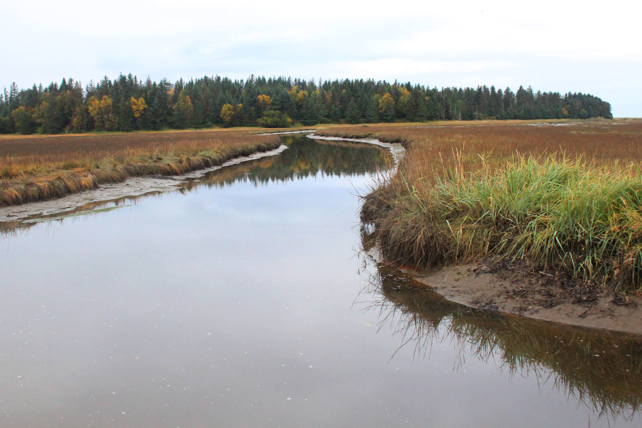 The Beluga Slough, pictured here Thursday, Sept. 28, 2017 in Homer, Alaska, provides myriad functions for the local environment, something students from Paul Banks Elementary learned last Thursday during a field trip there. (Photo by Megan Pacer/Homer News)