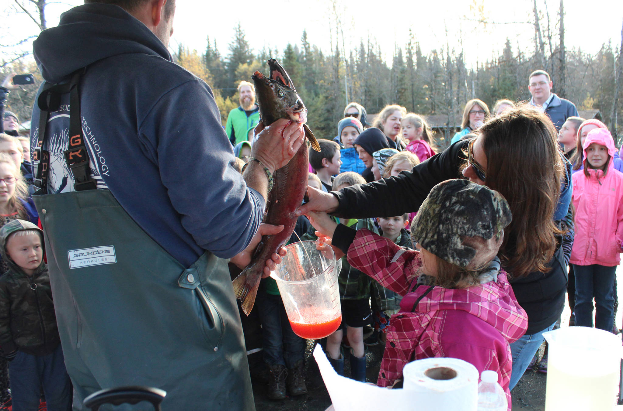 Jenny Gates and Tim Blackman, with the Alaska Department of Fish and Game, show students from lower Kenai Peninsula schools how to mix salmon eggs with salmon milt, or sperm, during an egg take demonstration Thursday, Oct. 5, 2017 at the Anchor River in Anchor Point, Alaska. (Photo by Megan Pacer/Homer News)