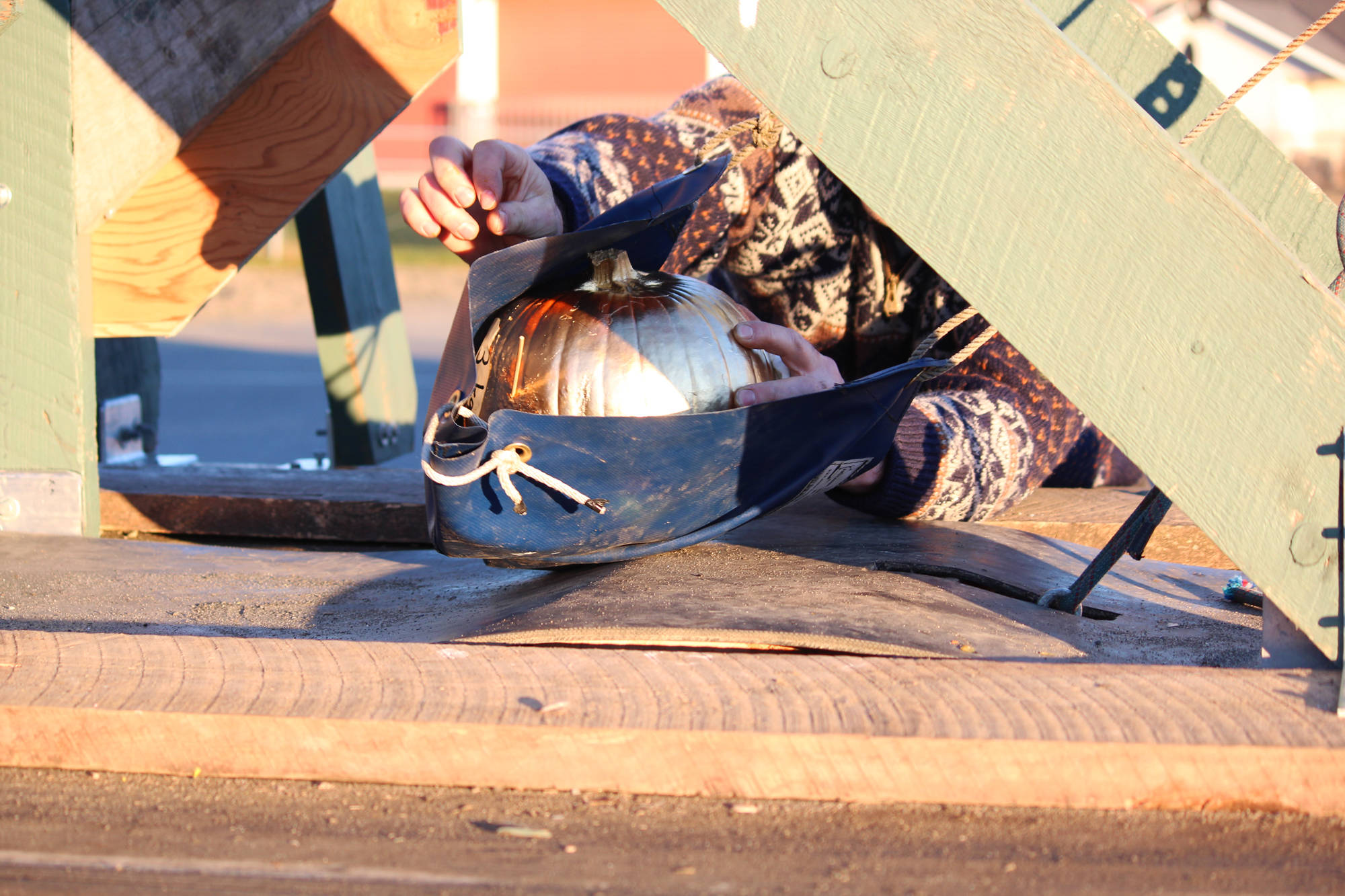 A volunteer laods the golden pumpkin into a large home-made catapult to be launched during West Homer Elementary School’s annual Punkin Cuckin’ event Friday, Nov. 3, 2017 at the school in Homer, Alaska. The catapult, on its second year of use, was put under too much stress this year, and the event had to be stopped before all the pumpkins were thrown for fear of it breaking. (Photo by Megan Pacer/Homer News)