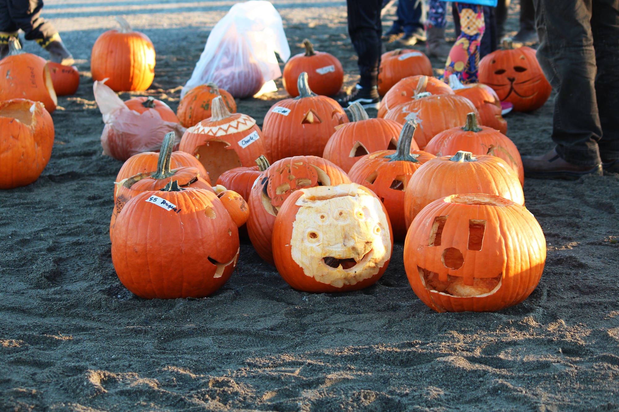 Several carved pumpkins await their turn to be flung across a field by a catapult during West Homer Elemetnary Schools Punkin Chuckin’ fundraising event Friday, Nov. 3, 2017 at the school in Homer, Alaska. (Photo by Megan Pacer/Homer News)
