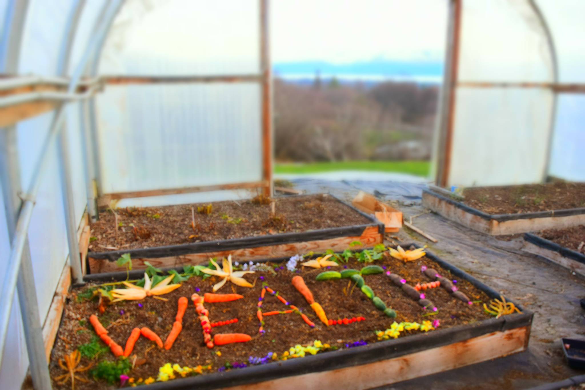 Dispatches From the WWOOF Capital of Alaska