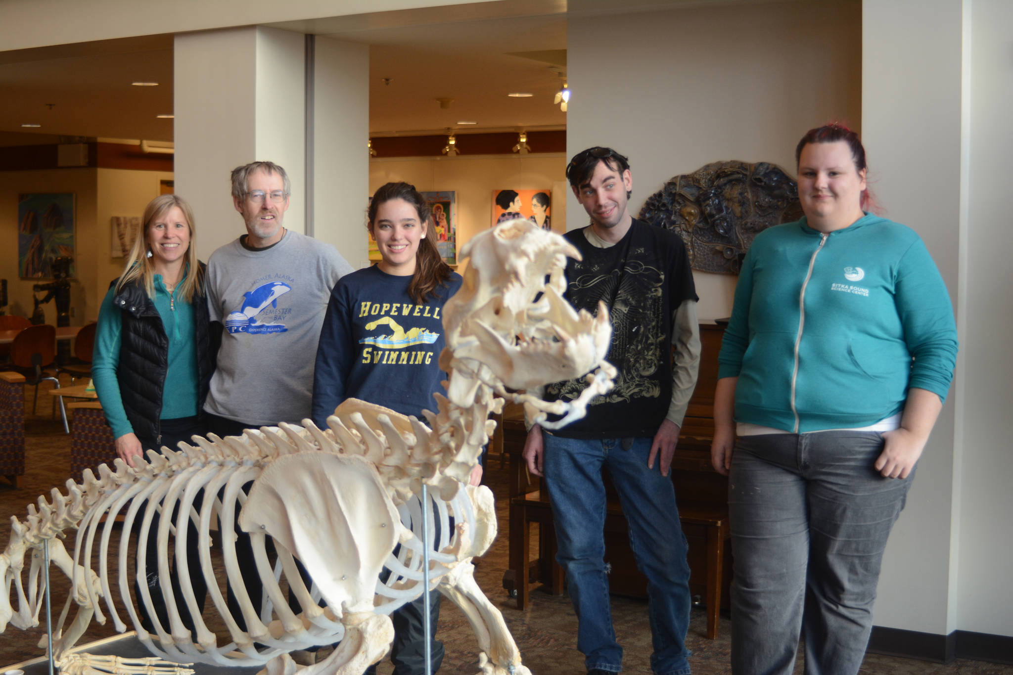 Posing behind the articulated skeleton of Woody, a sea lion from the Alaska SeaLife Center, on Wednesday, Nov. 22, are from left to right, Kachemak Bay Campus Biology Professor Debbie Boege-Tobin, Marine Skeletal Articulation Instructor Lee Post, Nicole Webster, Kyle Cullum, and Zobeida Rutkin in Pioneer Hall on Kachemak Bay Campus in Homer, Alaska. (Photo by Michael Armstrong, Homer News)