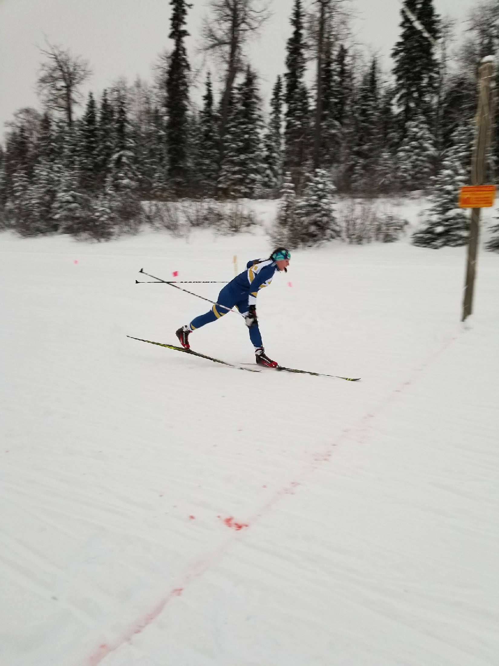 Homer’s Katia Holmes skis through the Tsalteshi Trails during the Homer Mariner Nordic ski team’s first race of the season Wednesday, Nov. 22, 2017 at the trails in Soldotna, Alaska. (Photo by Stephanie Ball)