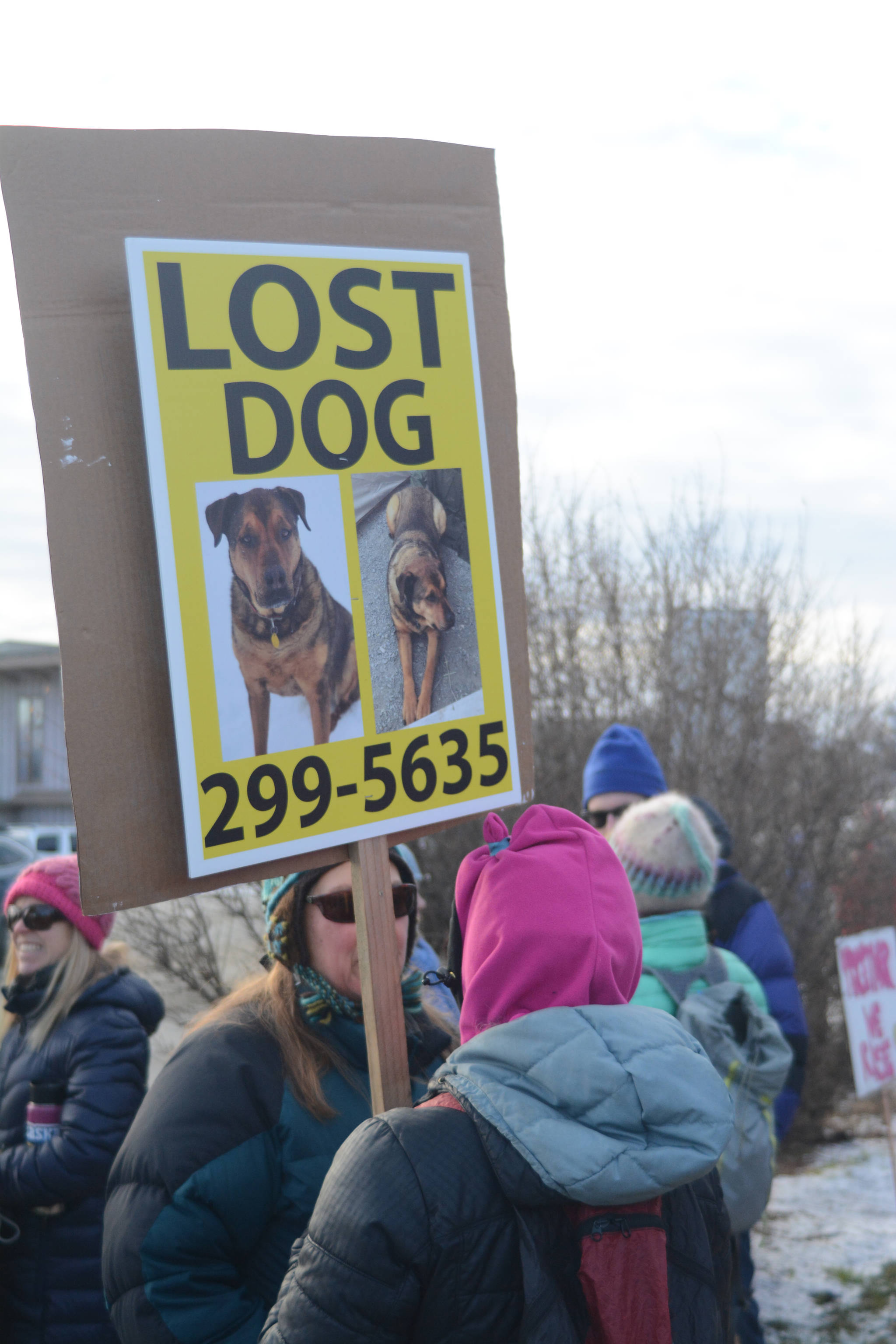 Along with protest signs, this woman carries a sign about her lost dog in the Homer March for Women on Saturday. About 700 people walked in the march along Pioneer Avenue on Jan. 20, 2018, in Homer, Alaska. The line of marchers extended from Main Street to Kachemak Way. (Photo by Michael Armstrong/Homer News)