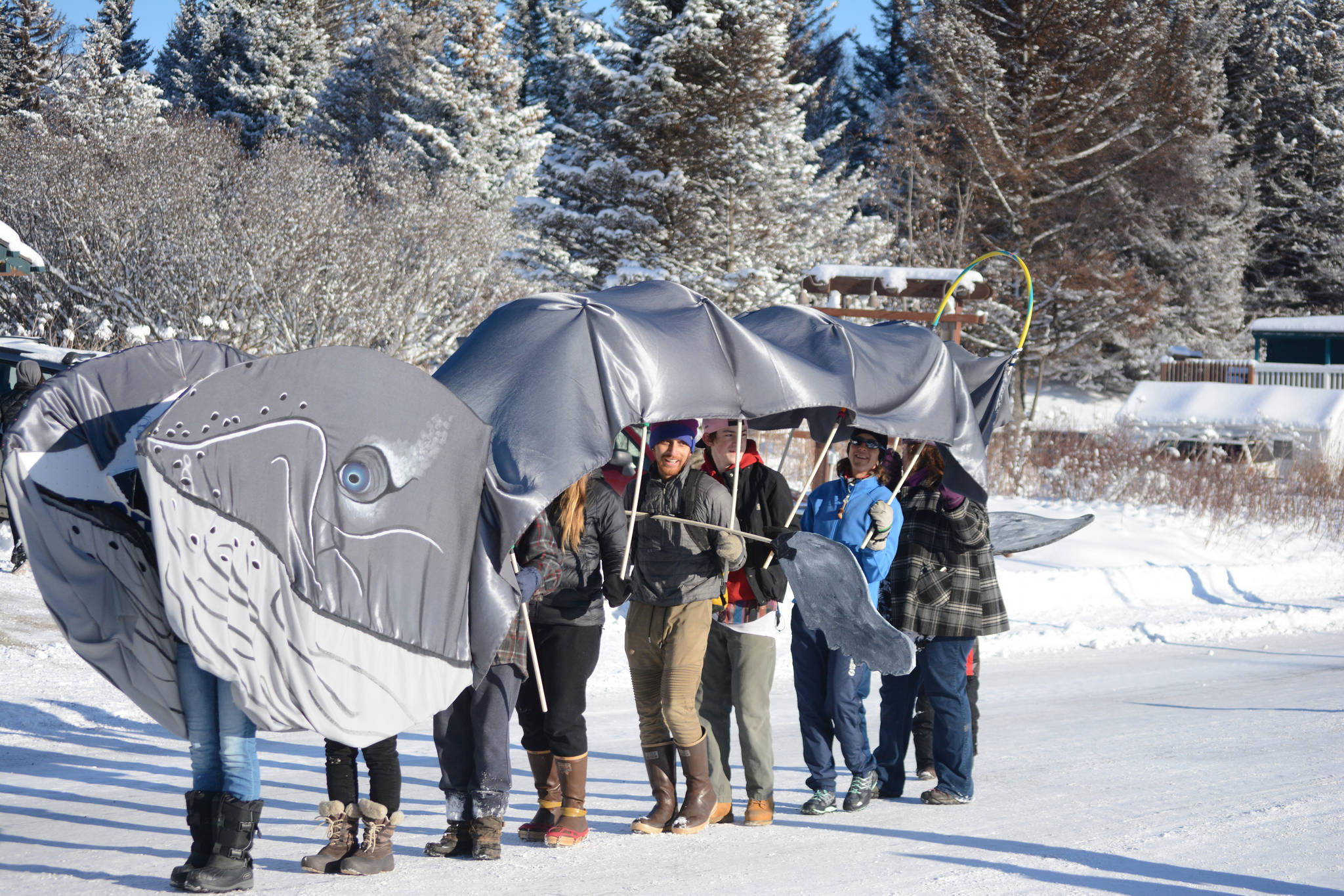 The Kachemak Bay Campus Student Association marches as a humpback whale in the Homer Winter Carnival parade on Saturday. They won in the category of Animals, Birds and Sea Creatures. (Photo by Michael Armstrong, Homer News)