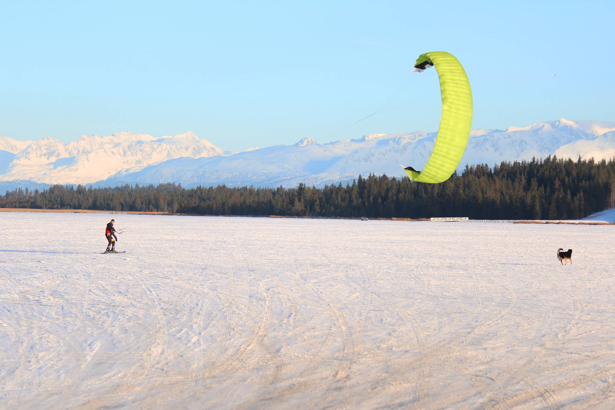 A man enjoys an afternoon of snowkiting, or kite skiing, across Beluga Lake with his dog Saturday, Feb. 3, 2018 in Homer, Alaska. It was one of the last cold, clear crisp days for outdoor enthusiasts before a temperature spike and a snow dump on Tuesday. (Photo by Megan Pacer/Homer News)