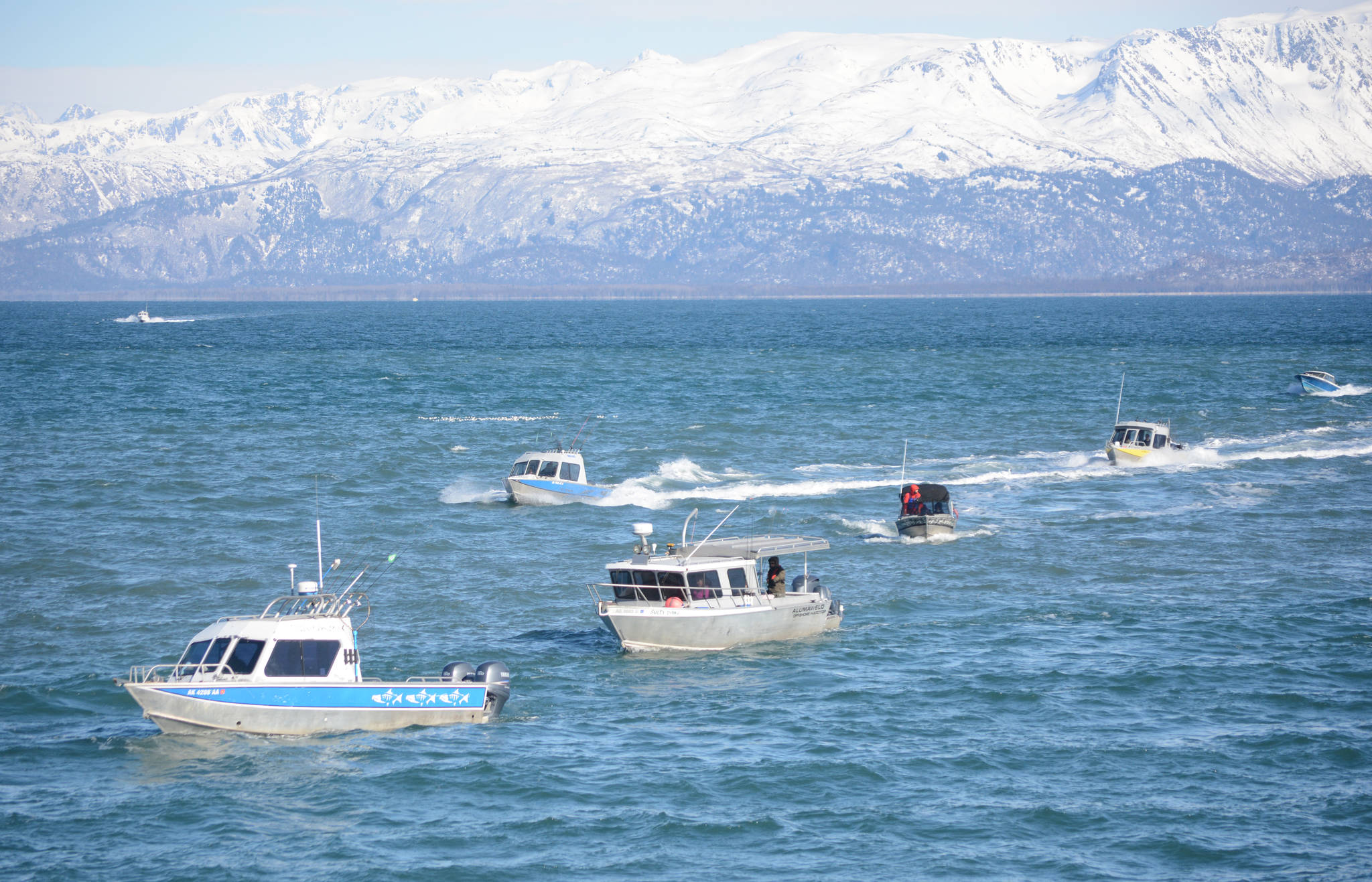 Boats return to the Homer Harbor on Saturday after the end of the 24th annual Homer Winter King Tournament on March 23, 2017. One-thousand and 12 anglers registered in the tournament in 314 boats, catching 110 king salmon weighing 1,584 pounds total. Anglers also caught 27 white kings weighing 438 pounds total. (Photo by Michael Armstrong, Homer News)
