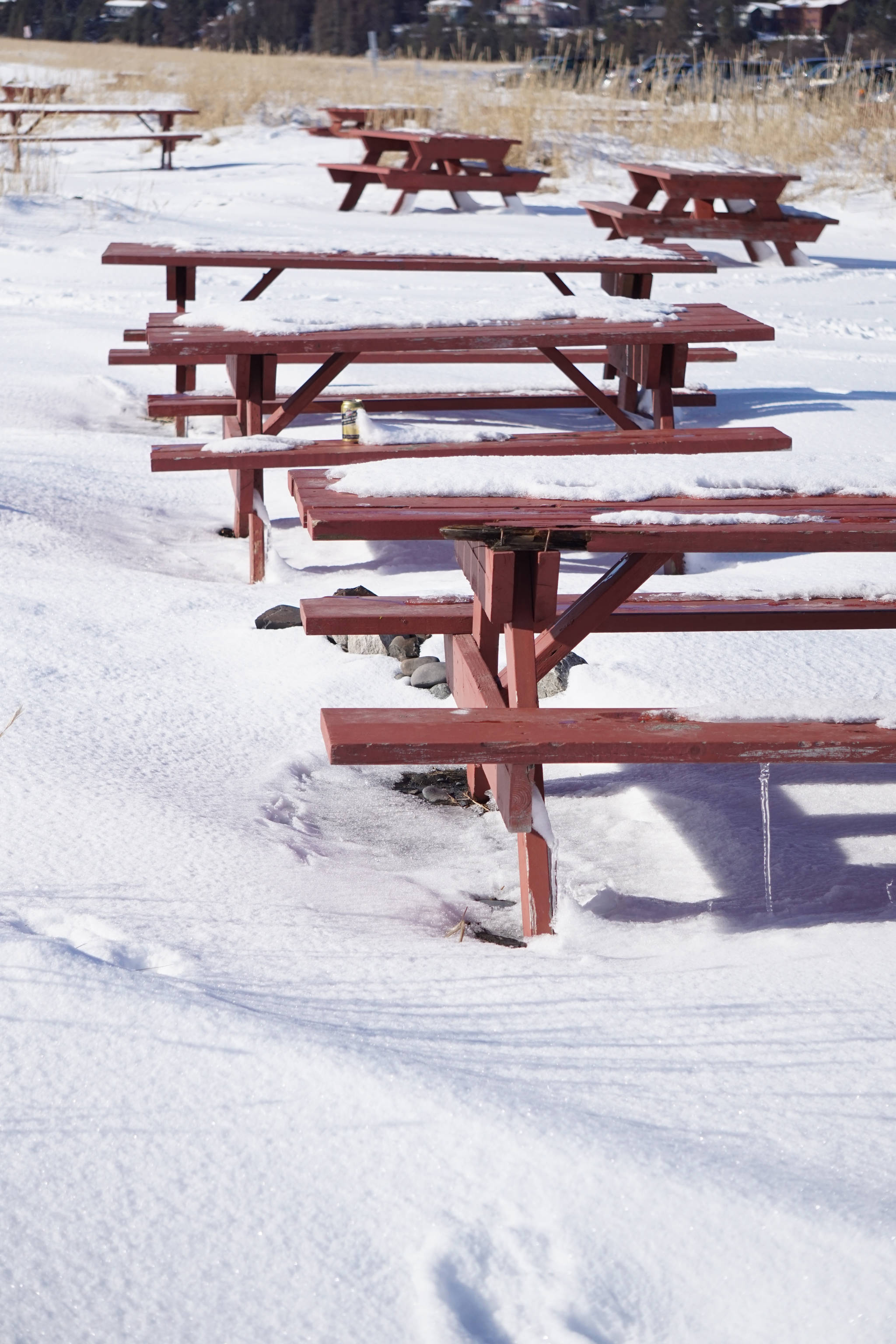 Fresh snow covers picnic tables at Mariner Park Campground on the Homer Spit, Alaska, on Sunday, March 11, 2018. (Photo by Michael Armstrong, Homer News)
