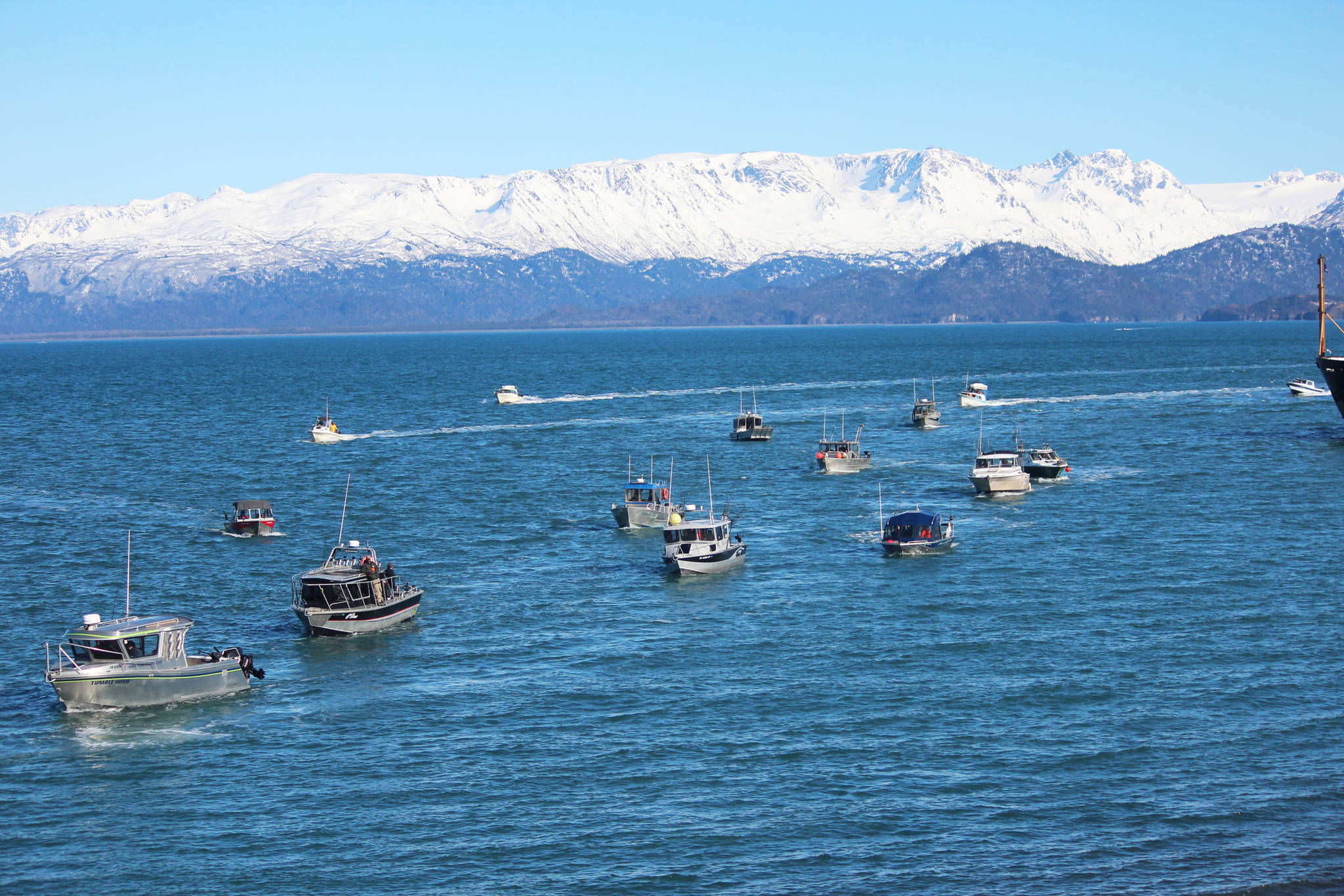 Fishing boats return to the Homer Harbor at the end of this year’s Winter King Salmon Tournament on Saturday, March 24, 2018 in Homer, Alaska. (Photo by Megan Pacer/Homer News)