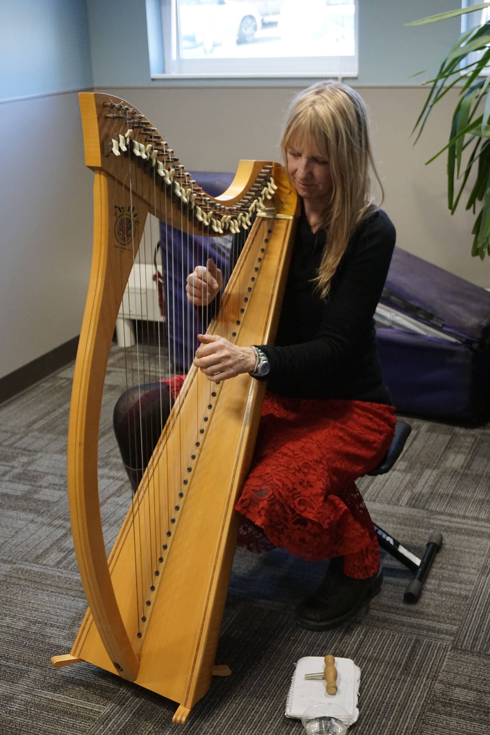 Michelle Morton plays the harp at an open house for the expanded and remodeled clinic last Friday, March 30, 2018 on Bartlett Street in Homer, Alaska. (Photo by Michael Armstrong, Homer News)