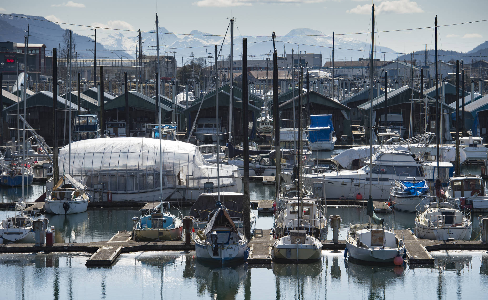 Juneau Empire File Don Statter Memorial Boat Harbor in Auke Bay in July 2015 as visitors wait to board whale watching vessels and fishing boats are double and triple parked along the floats.