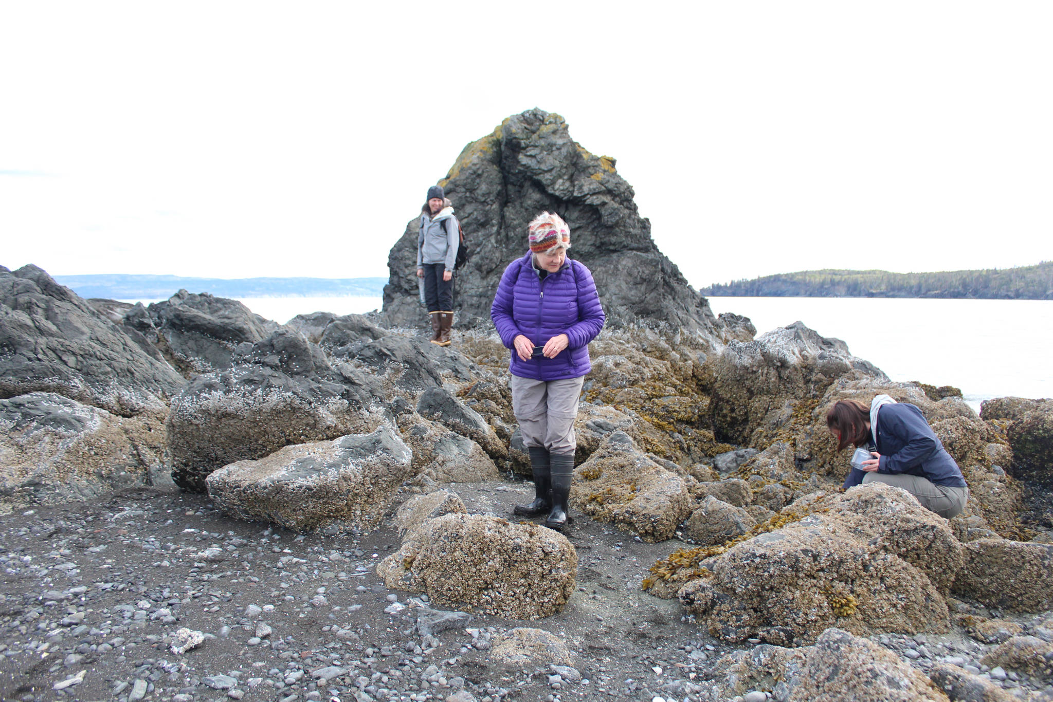 Saskia Esslinger (left), Marcia Kuszmaul (middle) and Caitlin Marsteller (right) explore Otter Island during an excursion to Peterson Bay on Thursday, May 24, 2018 near Homer, Alaska. (Photo by Megan Pacer/Homer News)