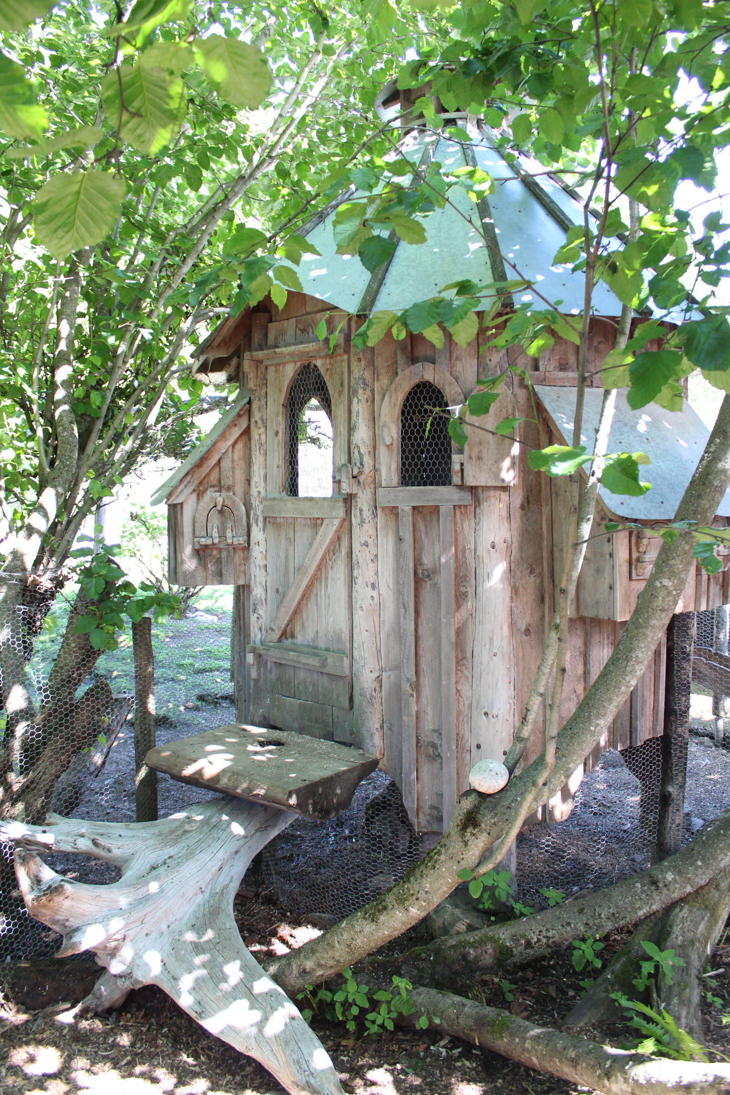 A hand-built chicken coop rests in the shade at the Jeff and Ranja Dean’s farm on Friday, July 6, 2018 off East End Road near Homer, Alaska. Ranja built the coop specifically to accommodate weather in Alaska, including raising it off the ground to prevent snow build up. (Photo by Megan Pacer/Homer News)