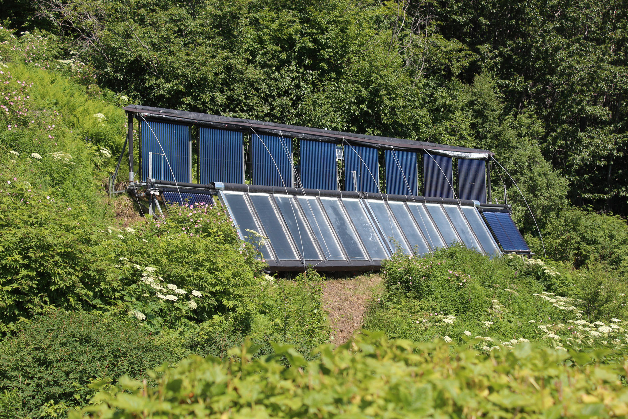 Several solar panels rest in the sun up an incline at the Dean family farm Friday, July 6, 2018 at their home off East End Road near Homer, Alaska. Artist Jeff Dean uses solar power to supplement a boiler system in place at their home, which was part of the annual Homer Solar Tour this year. (Photo by Megan Pacer/Homer News)